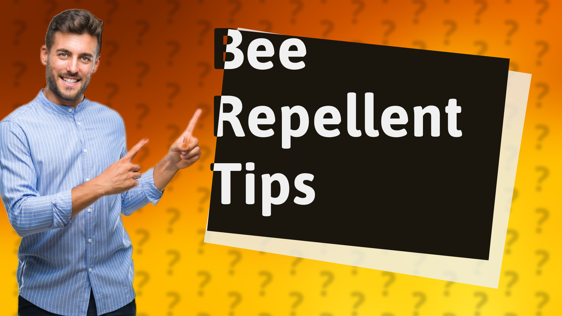 Bee Repellent Tips