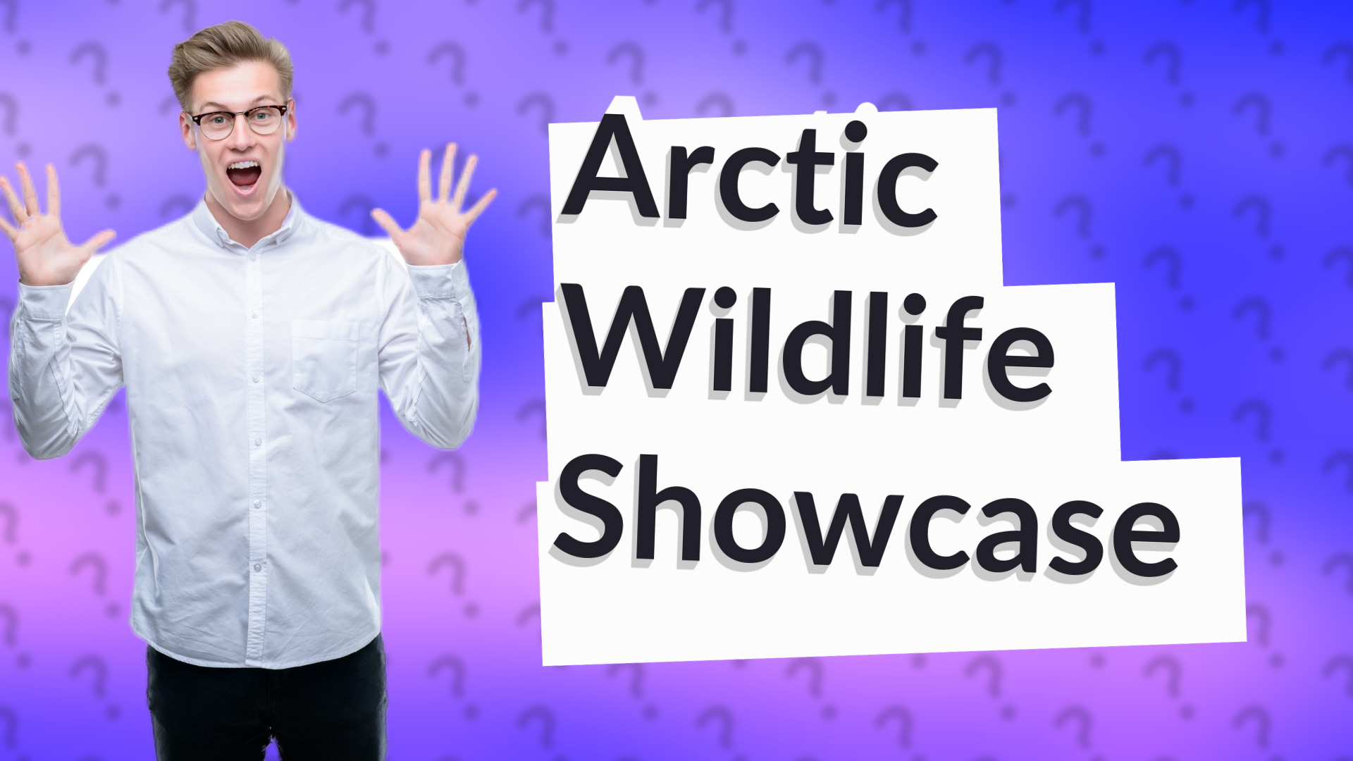 Arctic Wildlife Showcase