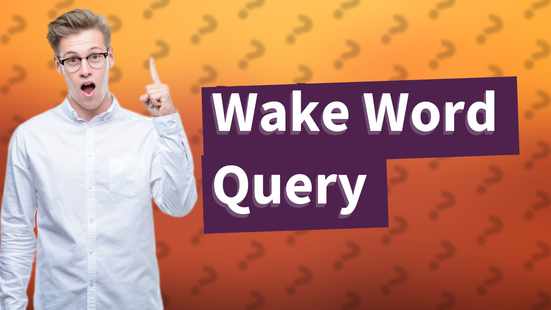 Wake Word Query