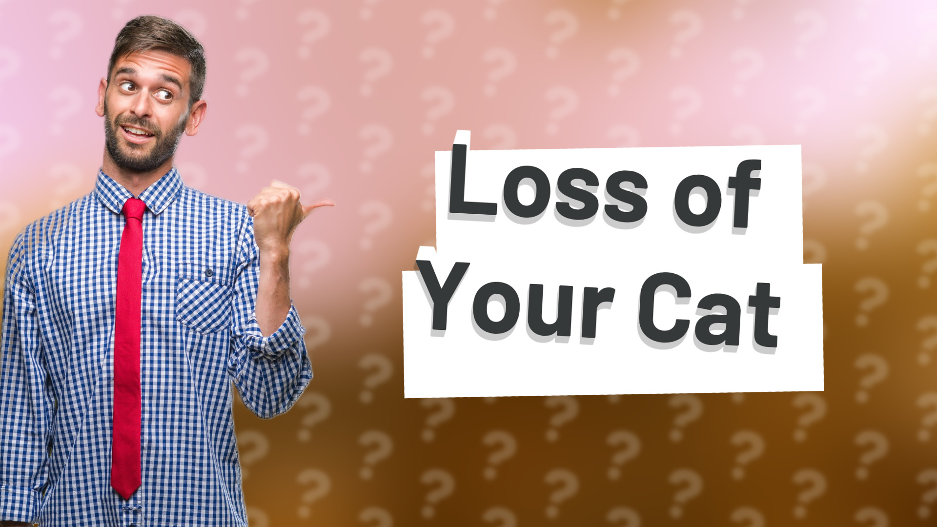 Loss of Your Cat