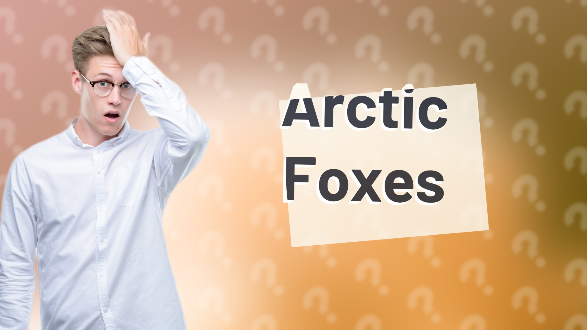 Arctic Foxes