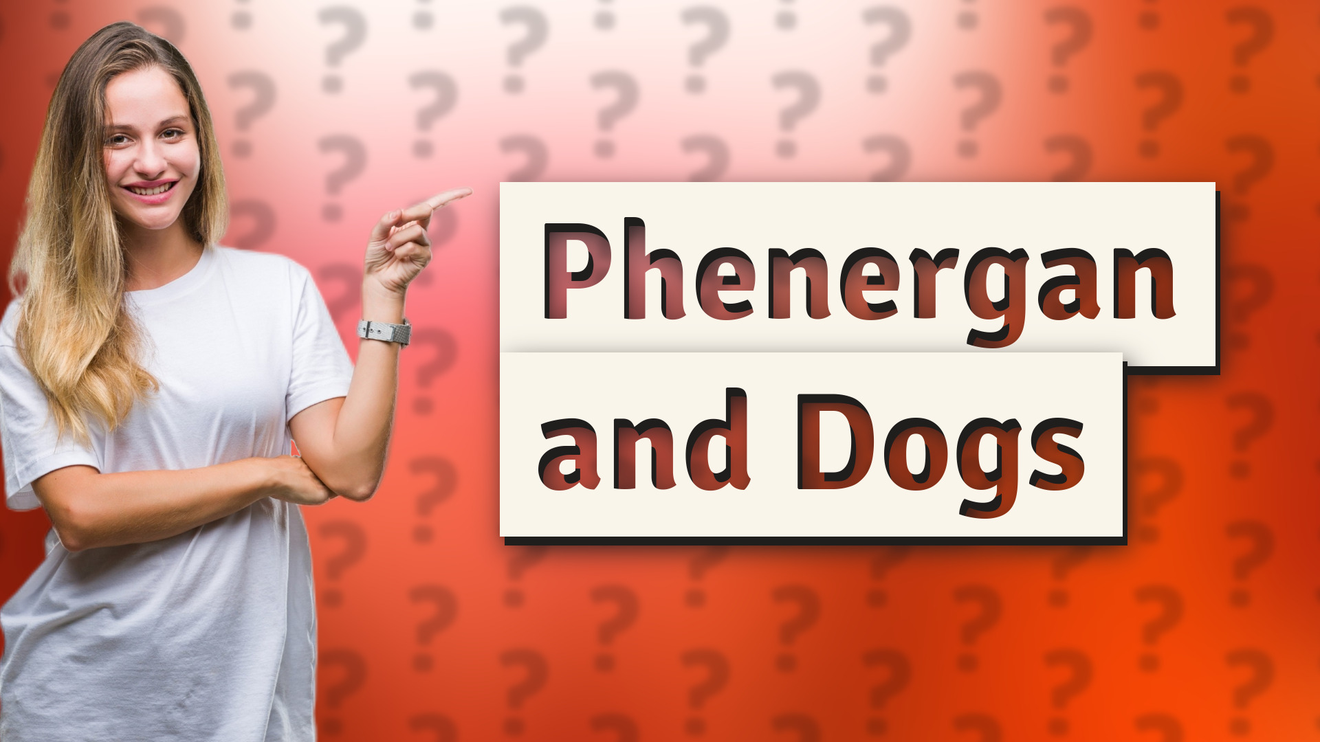 Phenergan and Dogs