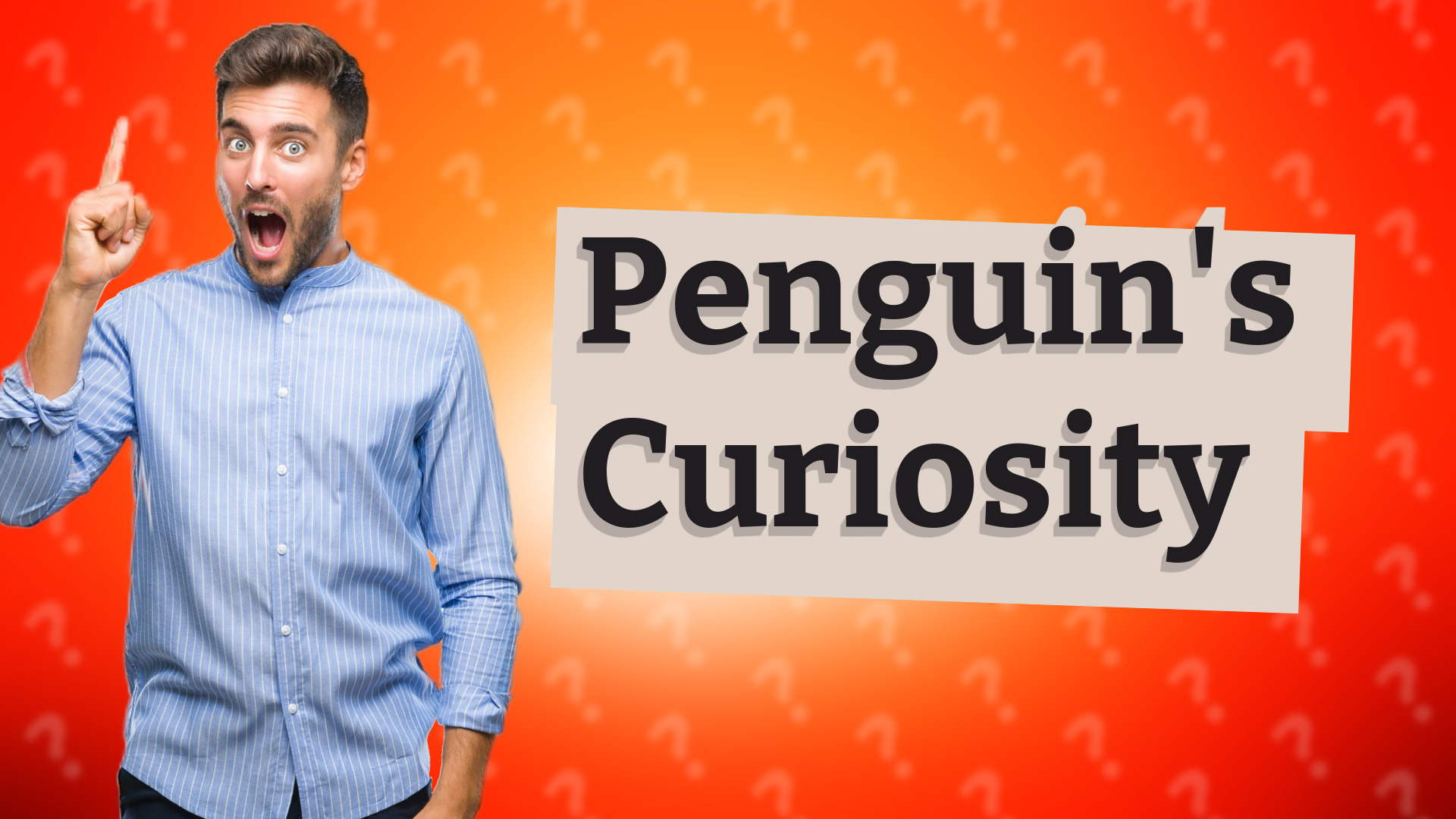 Penguin's Curiosity