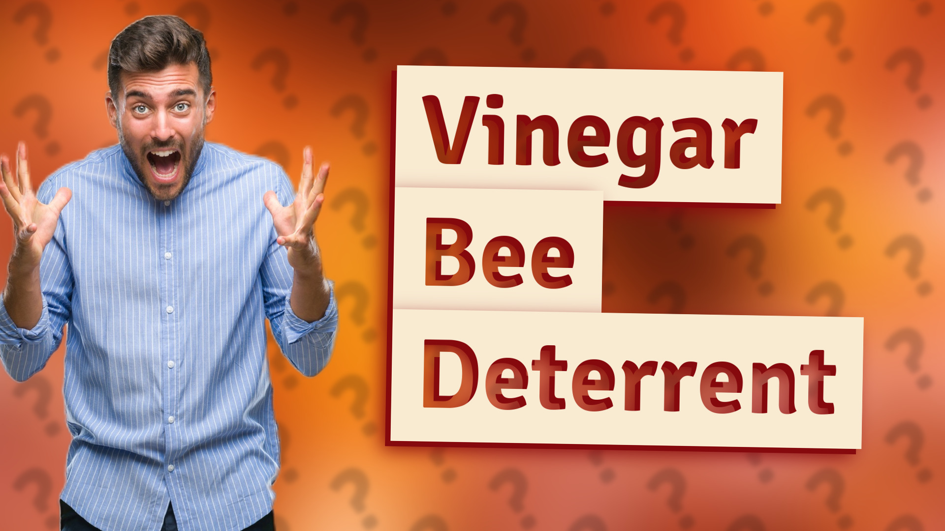Vinegar Bee Deterrent