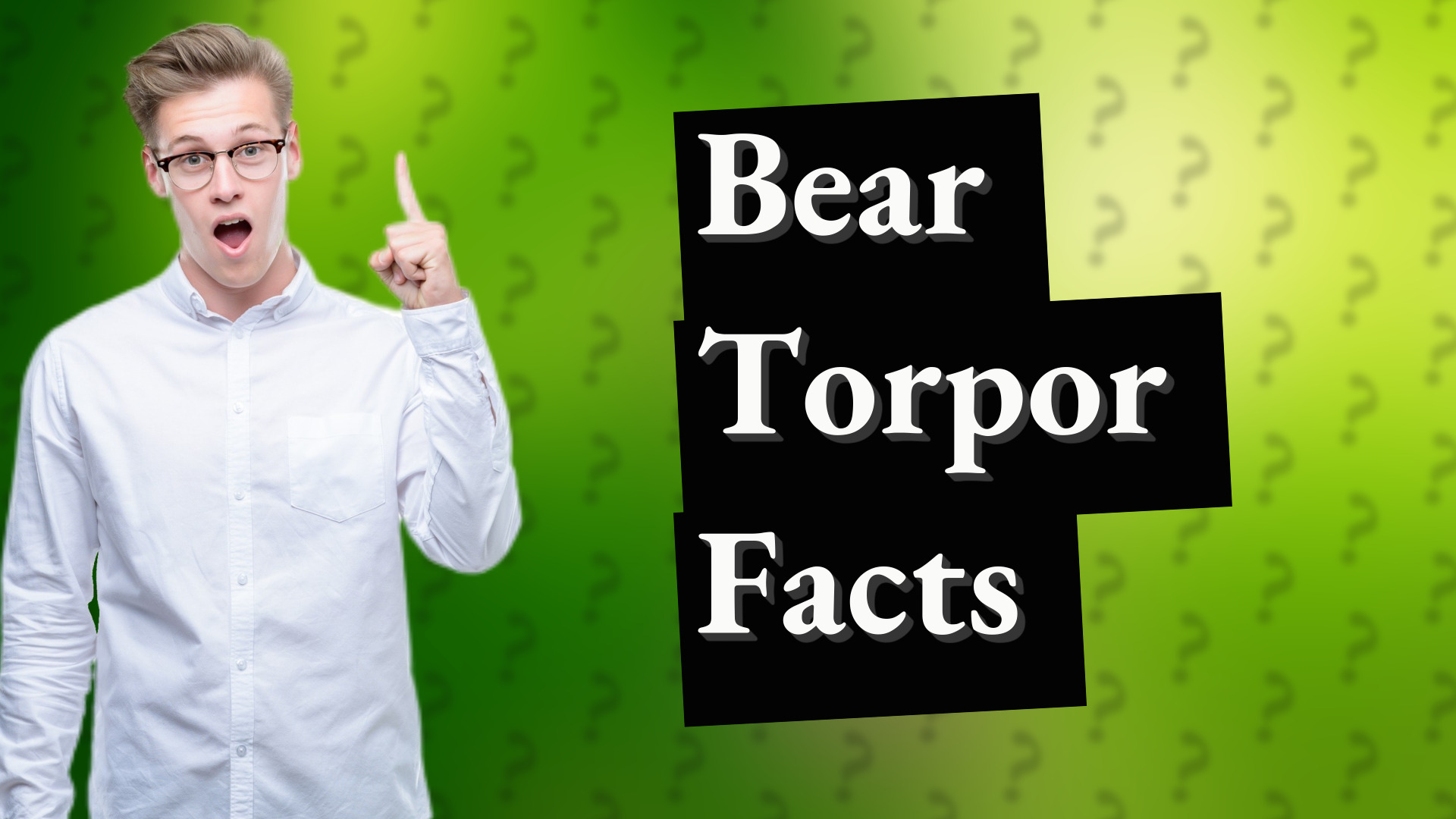 Bear Torpor Facts