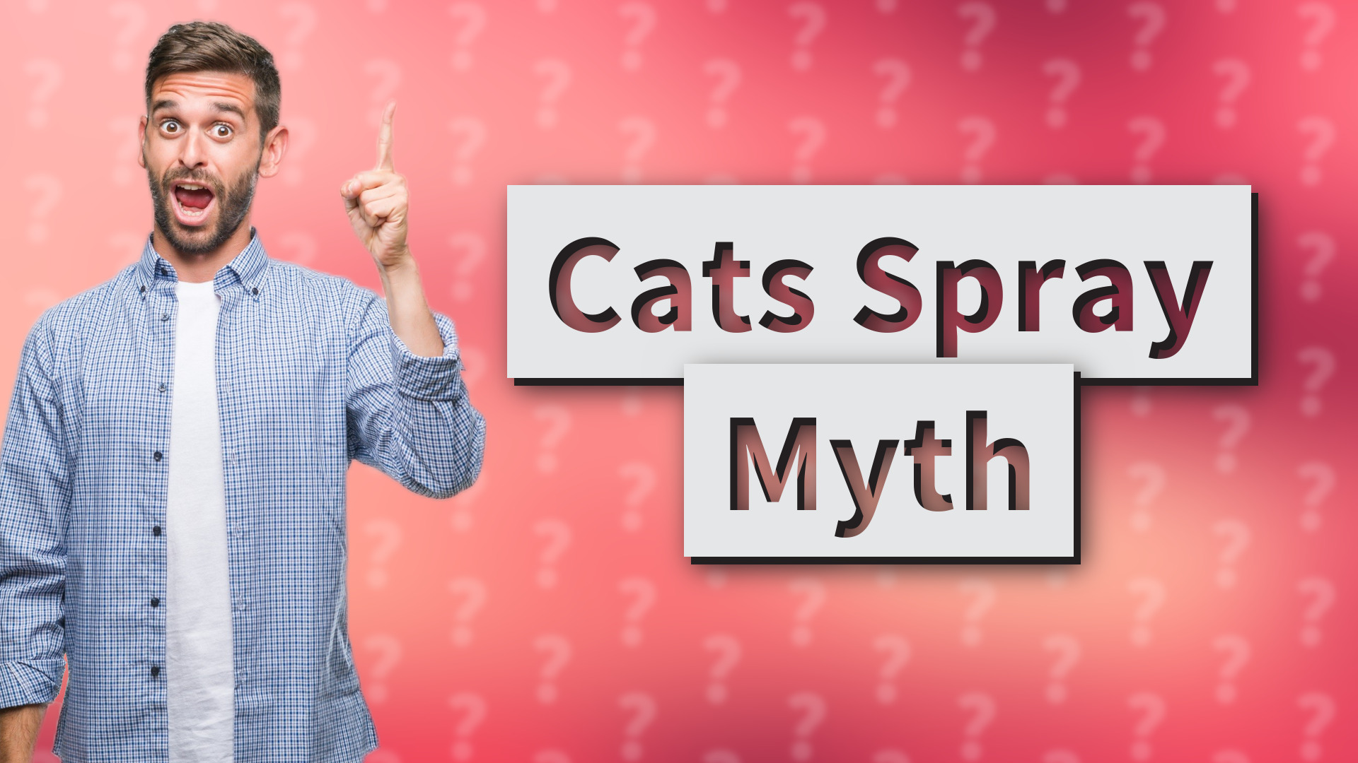 Cats Spray Myth