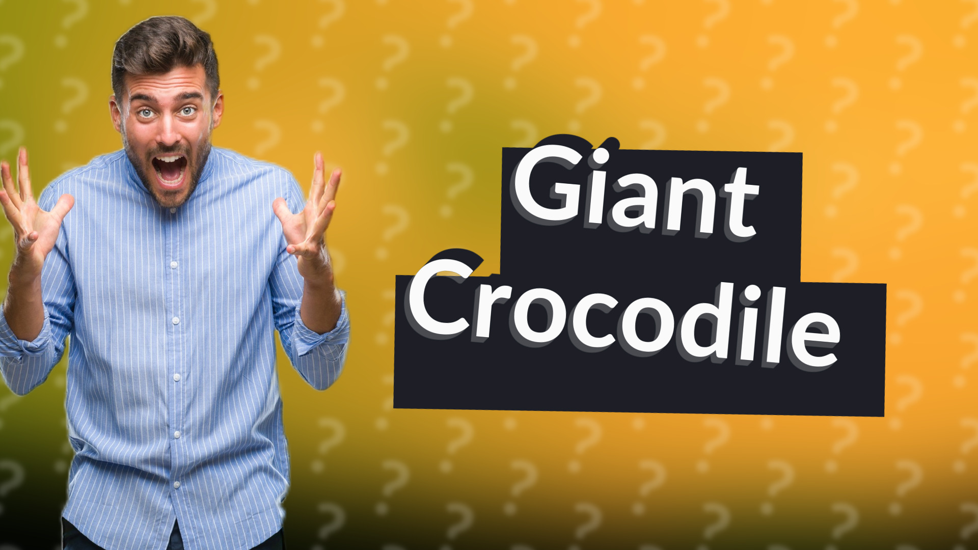 Giant Crocodile