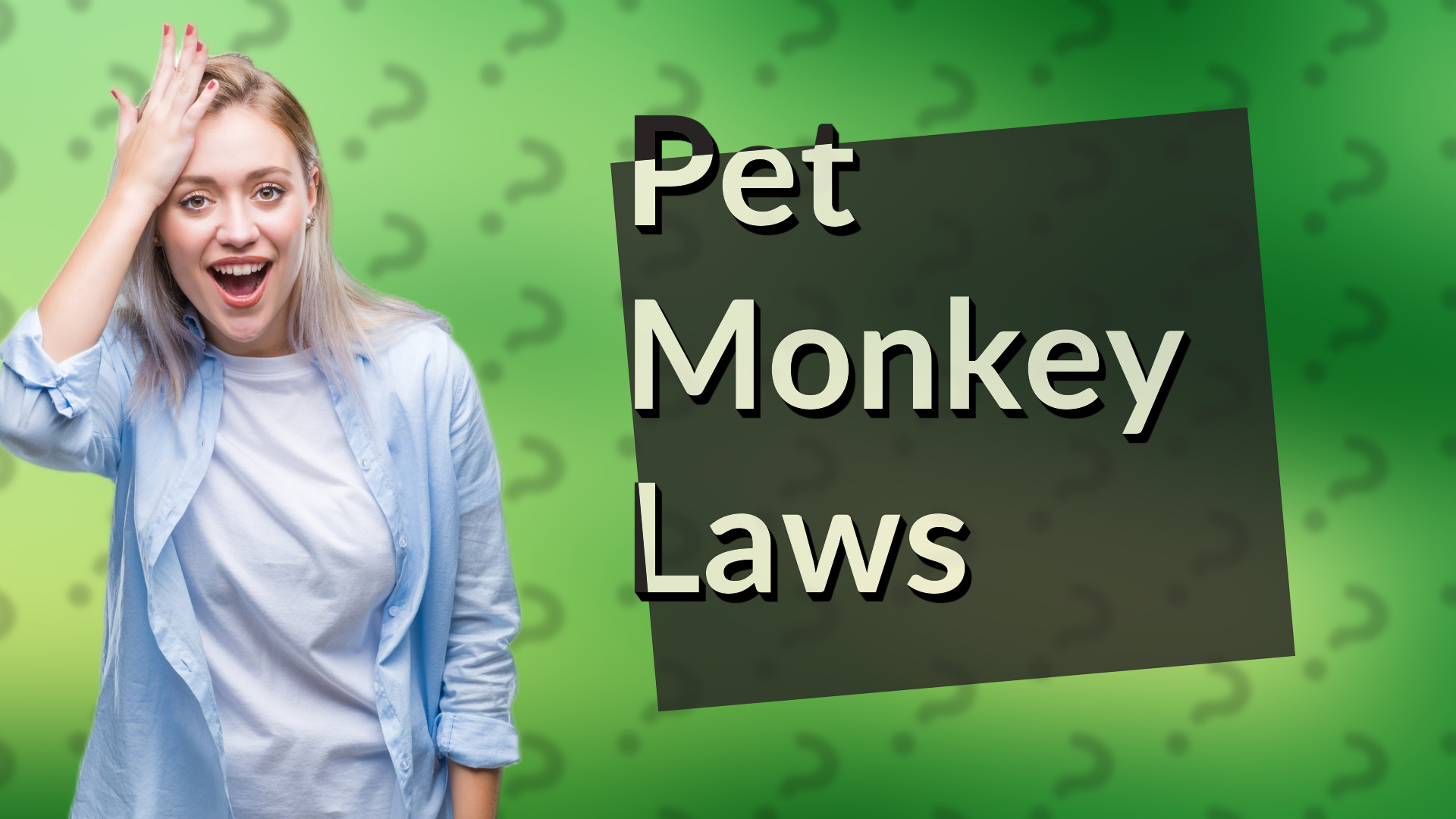 Pet Monkey Laws