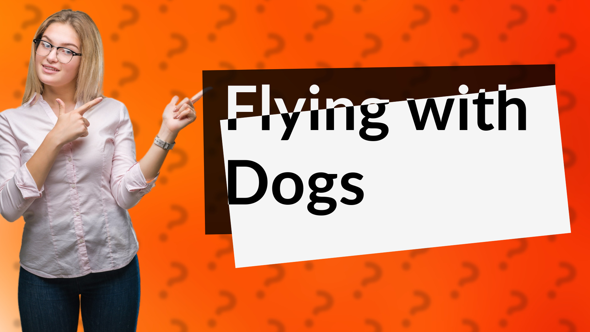 Flying with Dogs