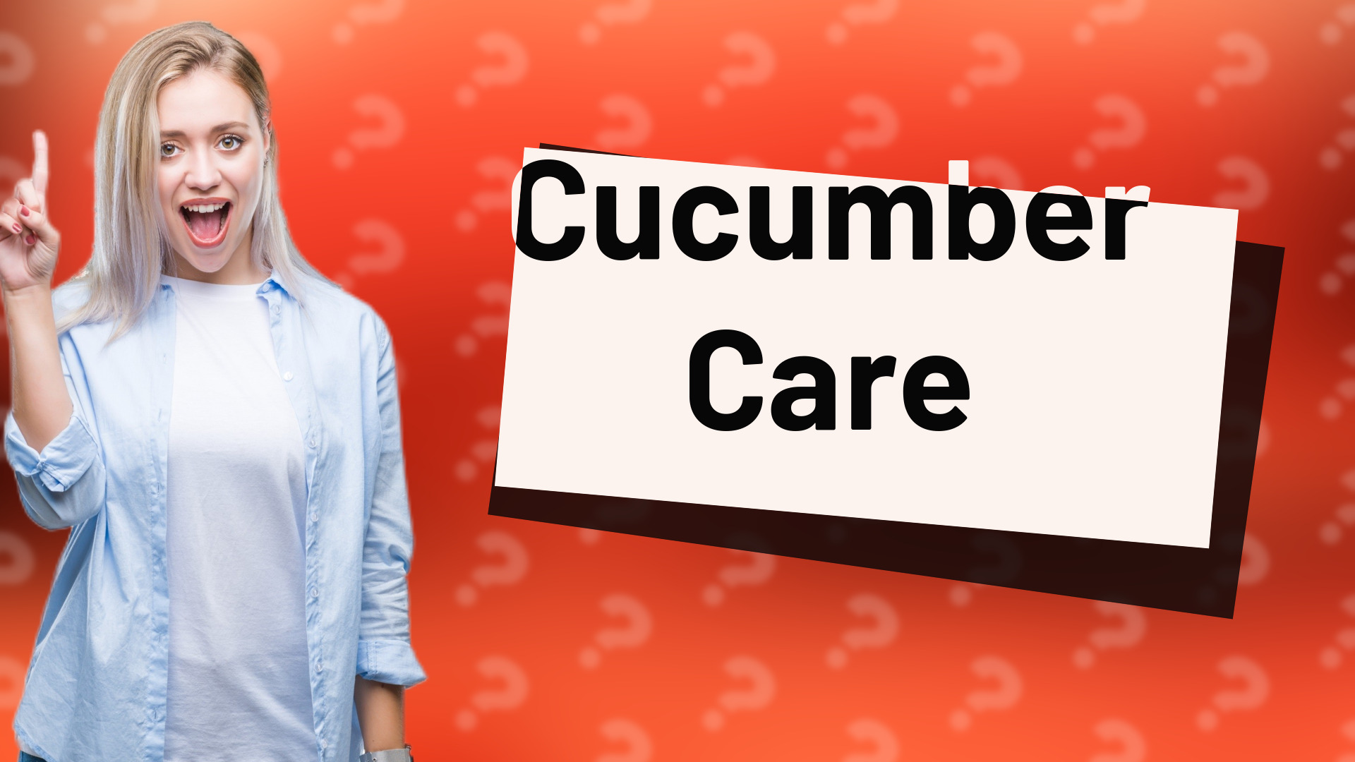 Cucumber Care