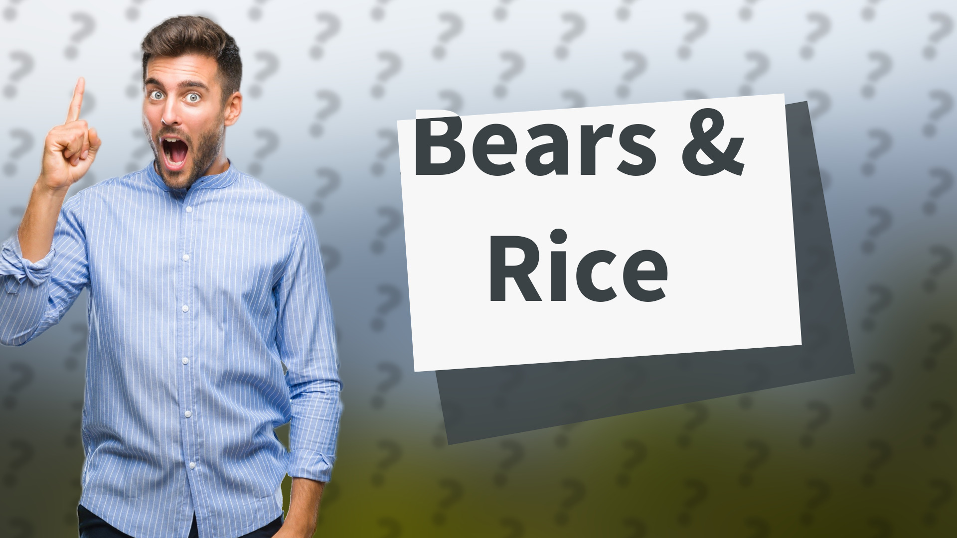 Bears & Rice