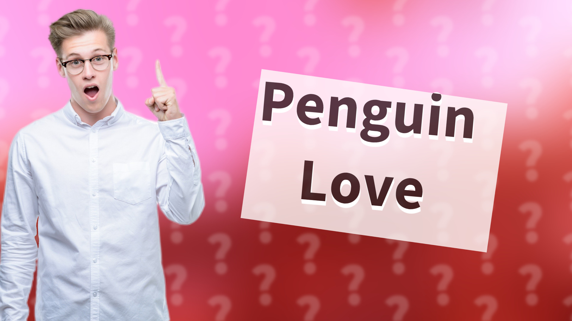 Penguin Love