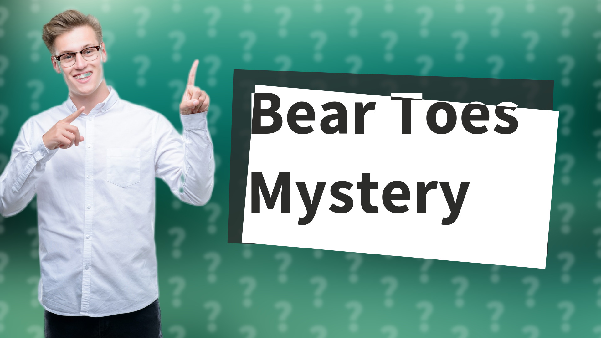 Bear Toes Mystery