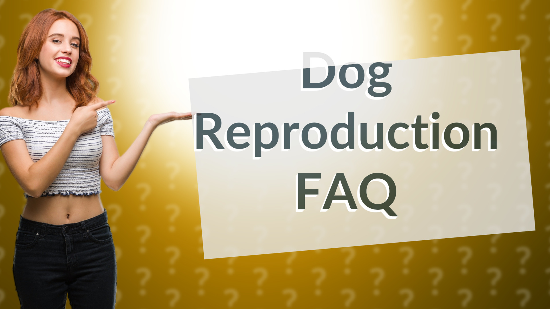 Dog Reproduction FAQ