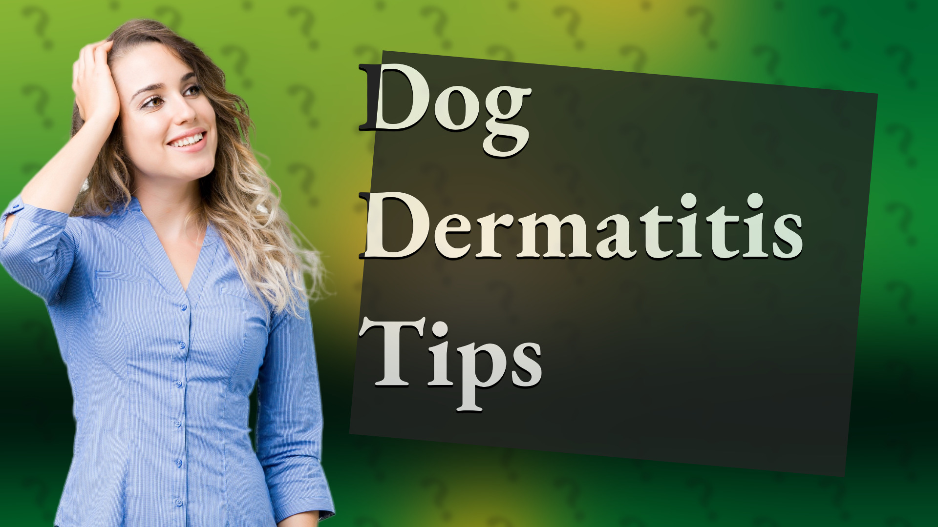 Dog Dermatitis Tips