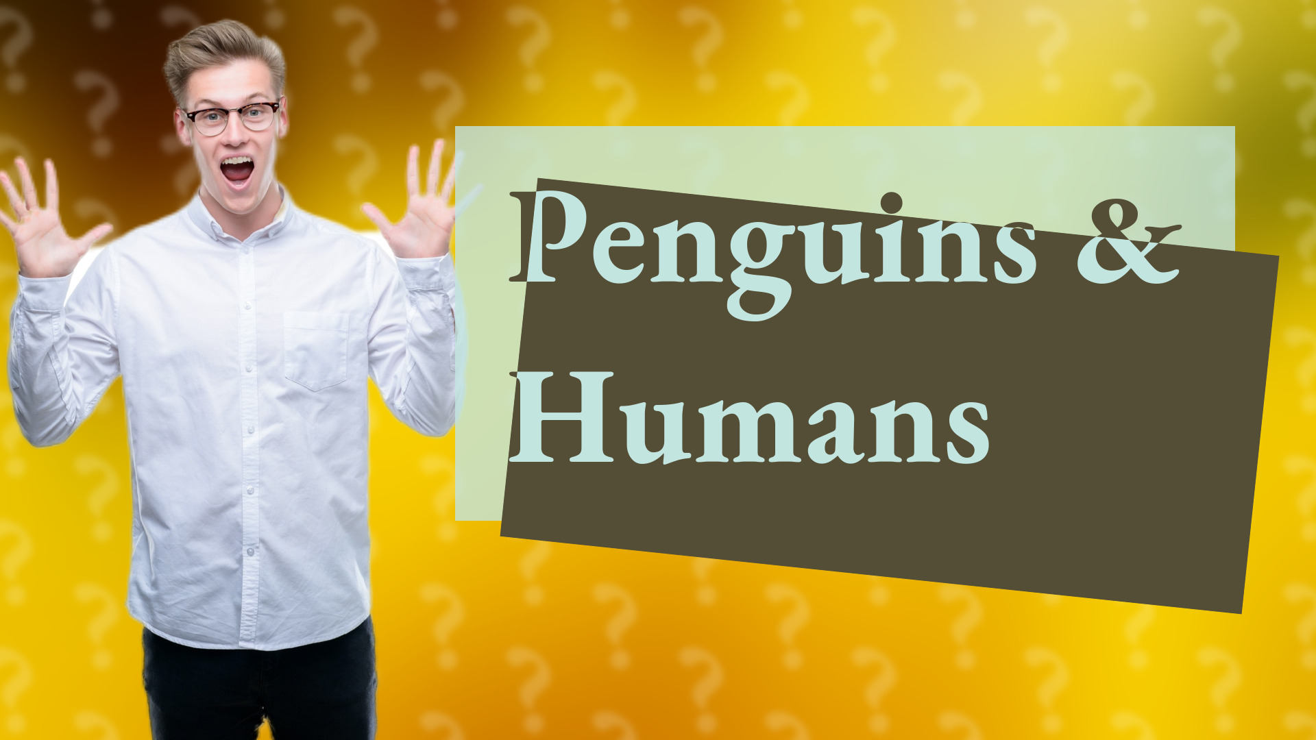 Penguins & Humans