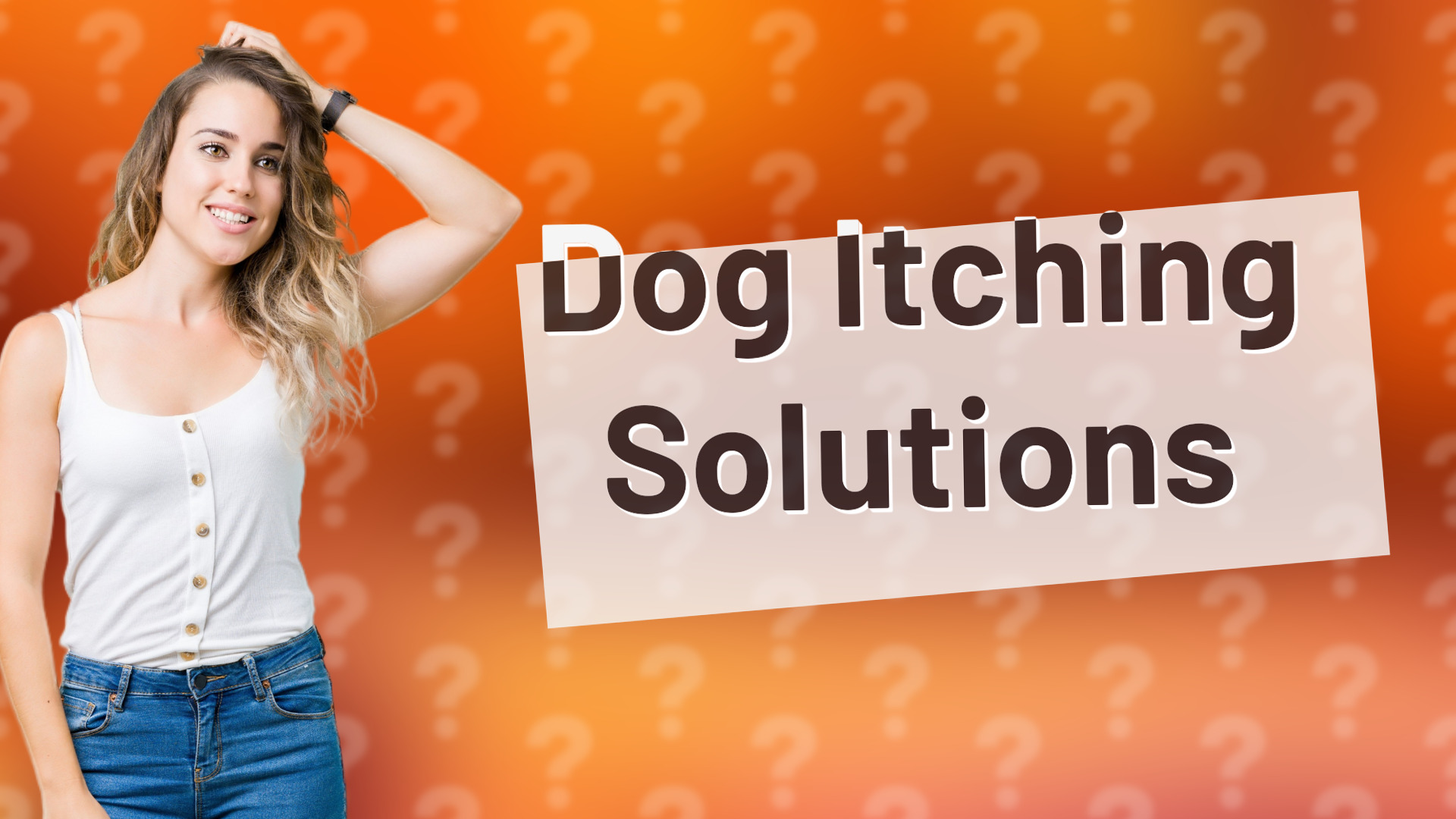 Dog Itching Solutions