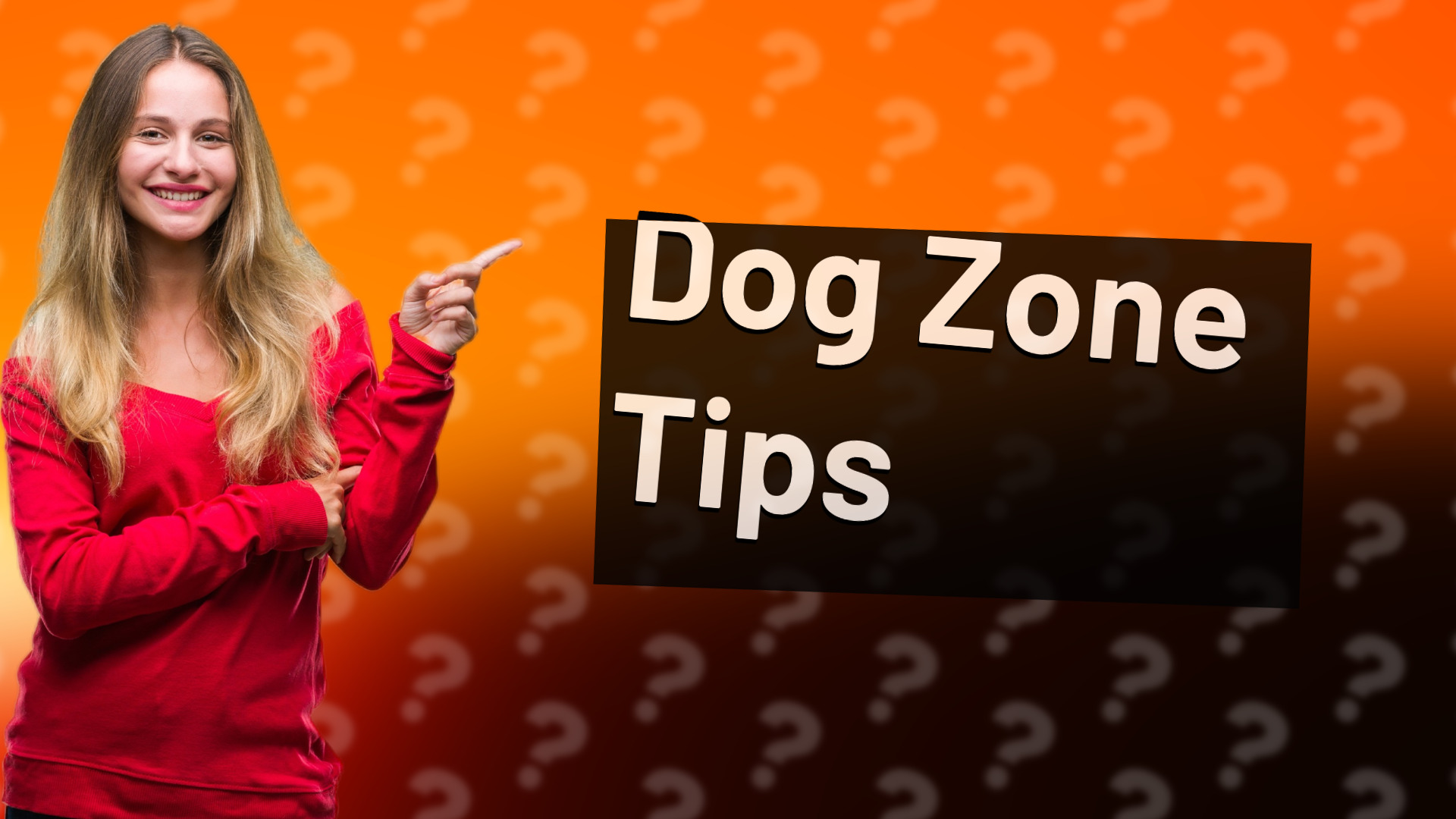Dog Zone Tips