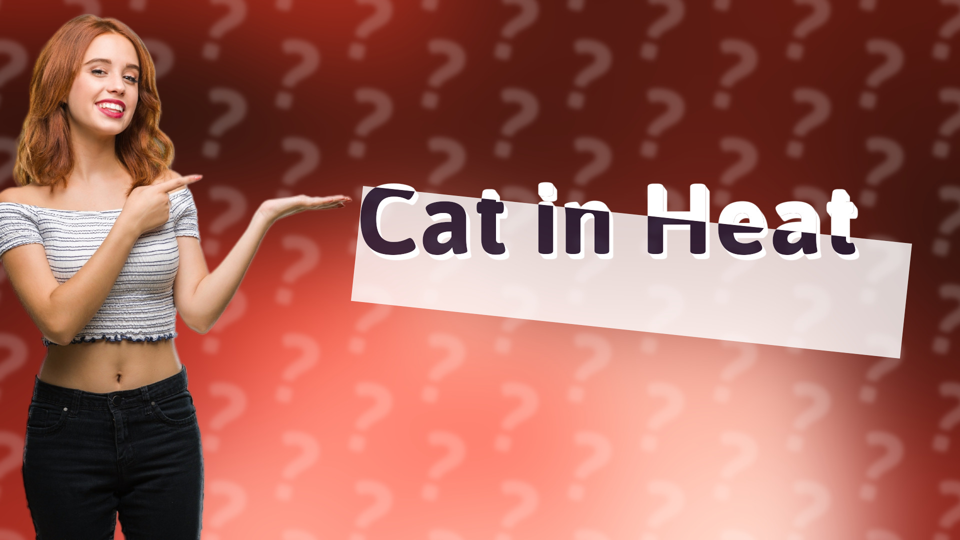 Cat in Heat