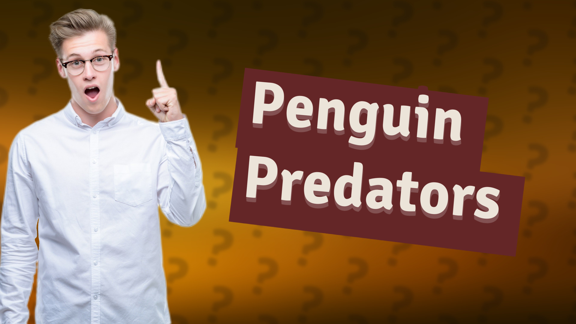 Penguin Predators