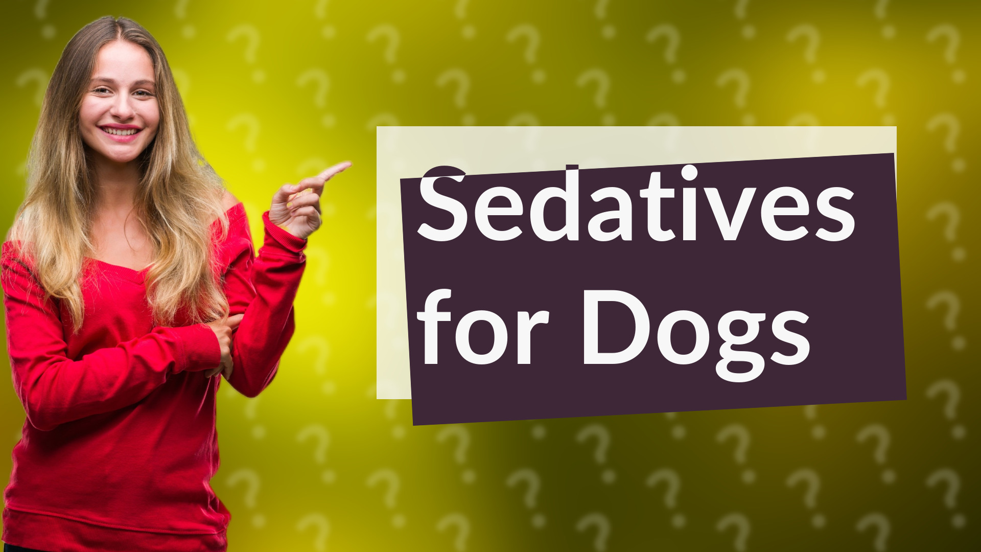 Sedatives for Dogs
