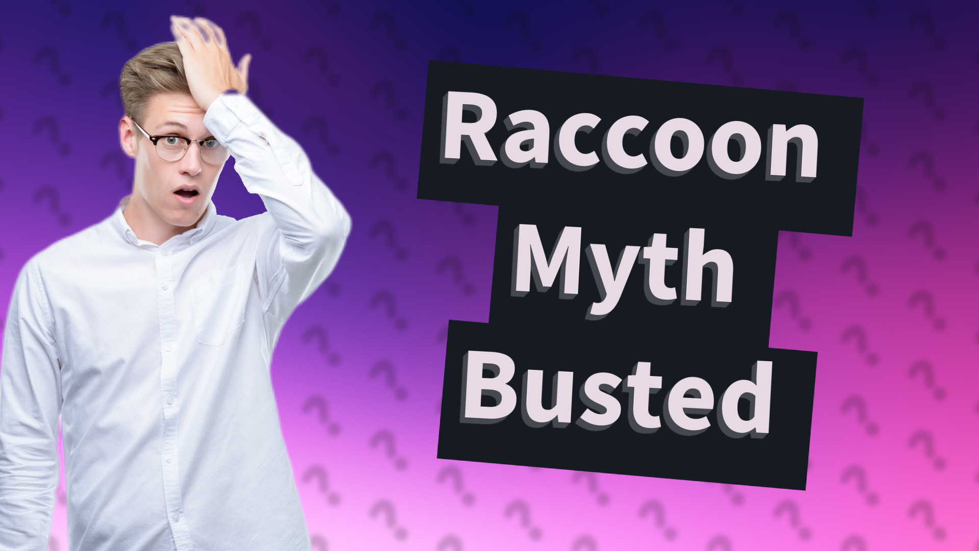 Raccoon Myth Busted