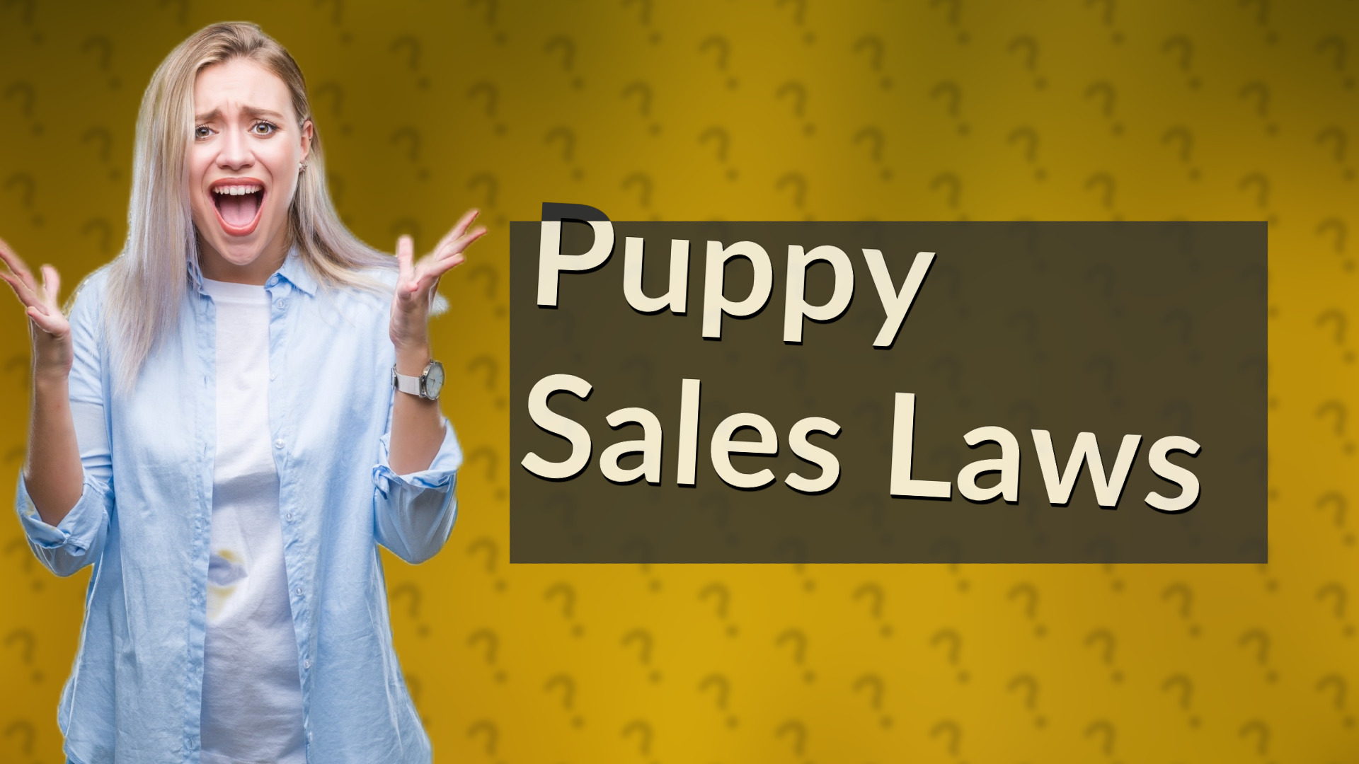 Puppy Sales Laws