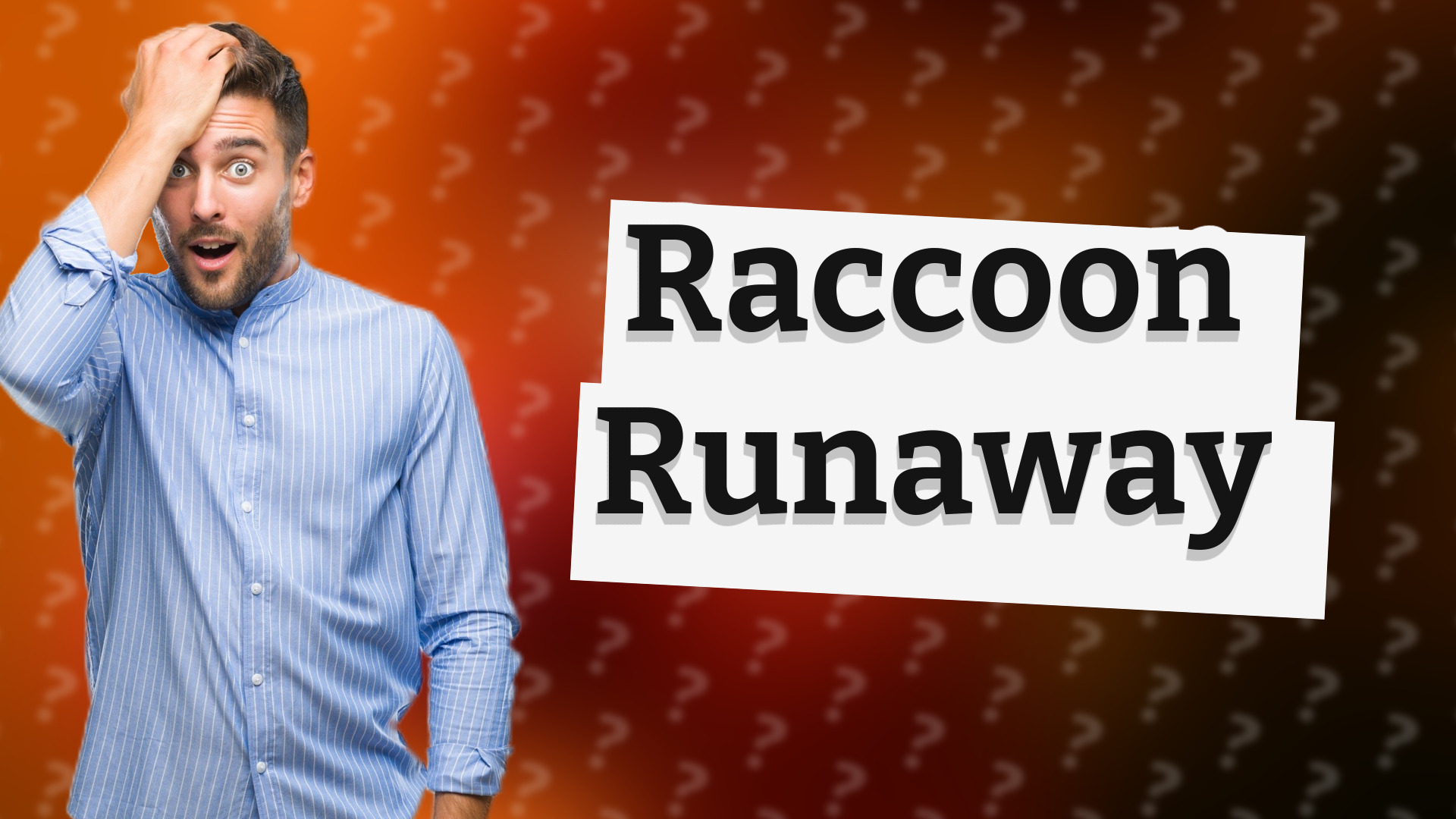 Raccoon Runaway
