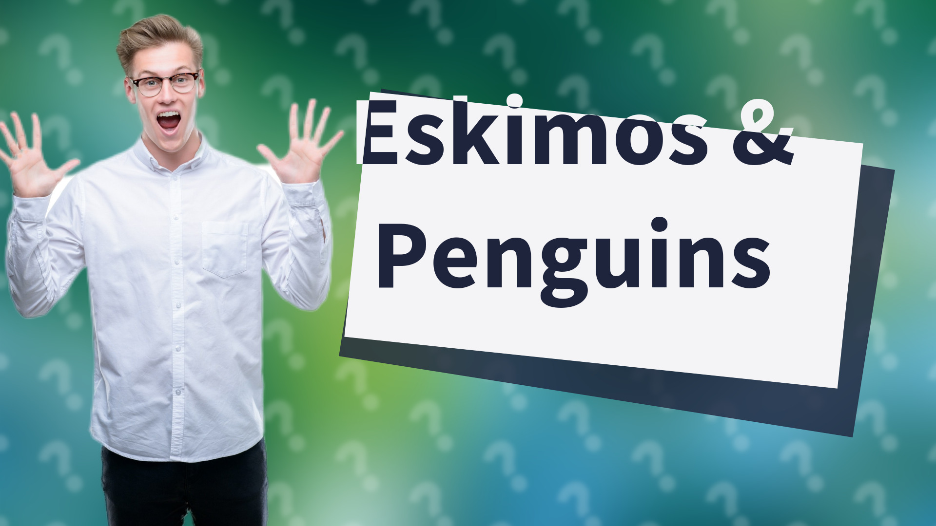 Eskimos & Penguins