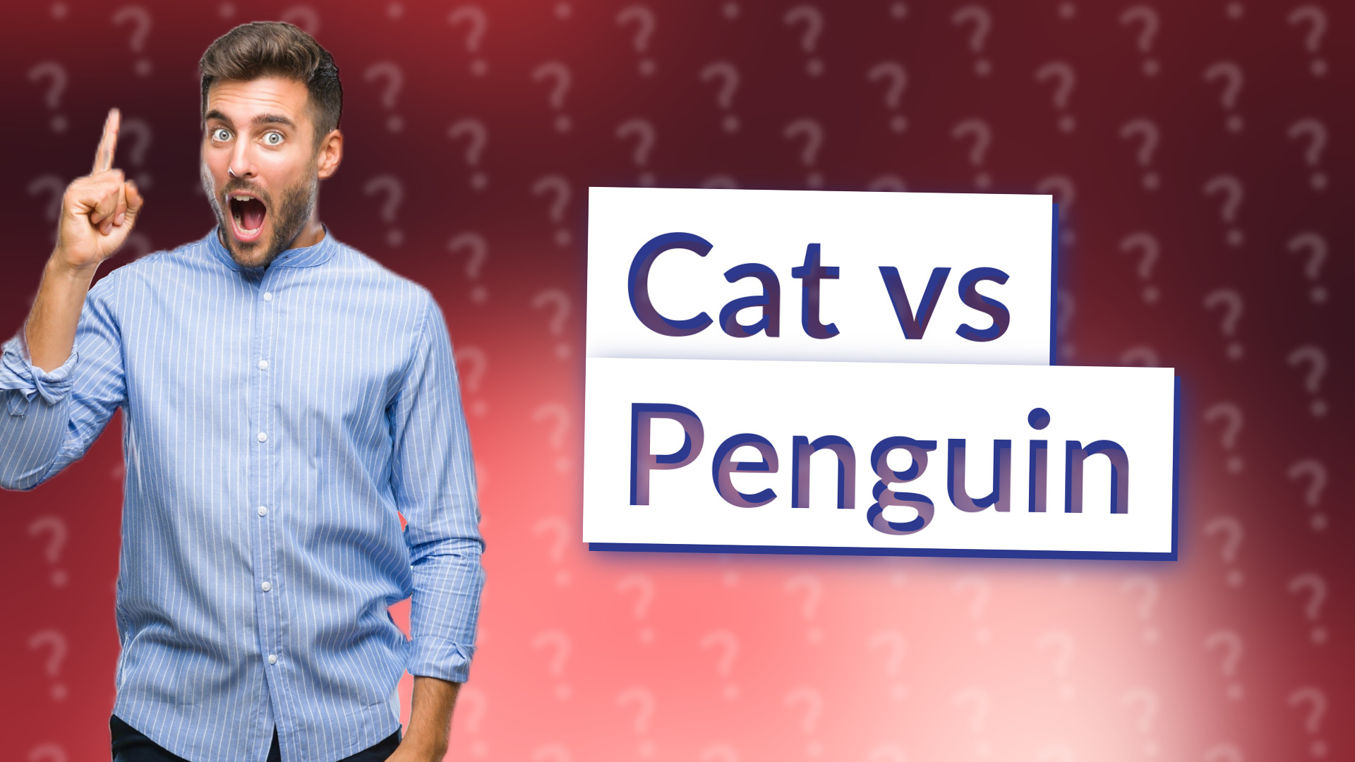 Cat vs Penguin