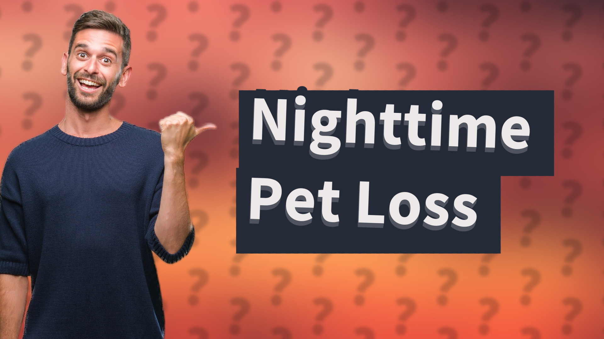 Nighttime Pet Loss