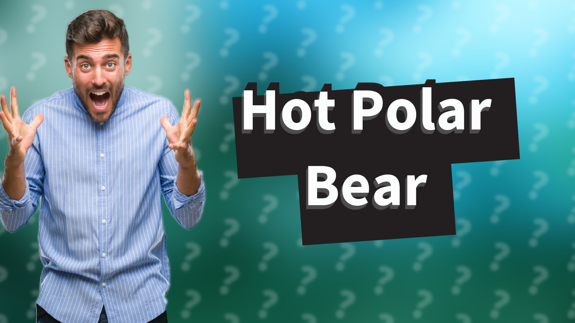 Hot Polar Bear