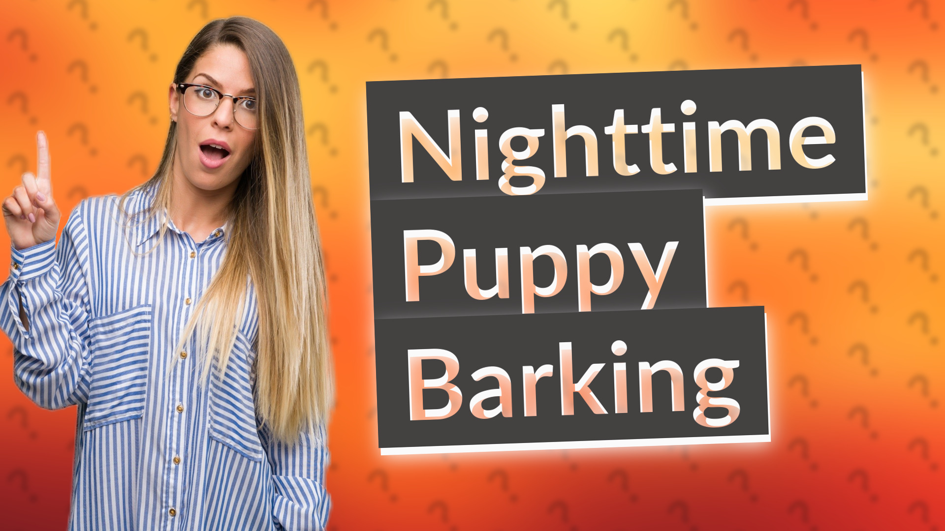 Nighttime Puppy Barking