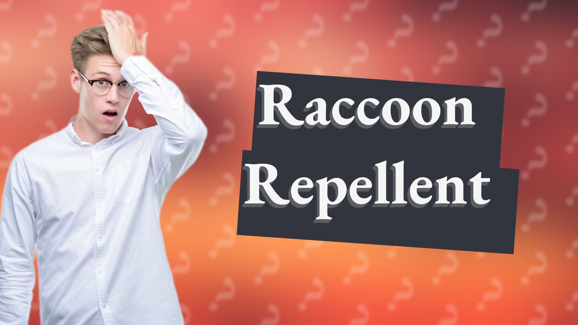 Raccoon Repellent