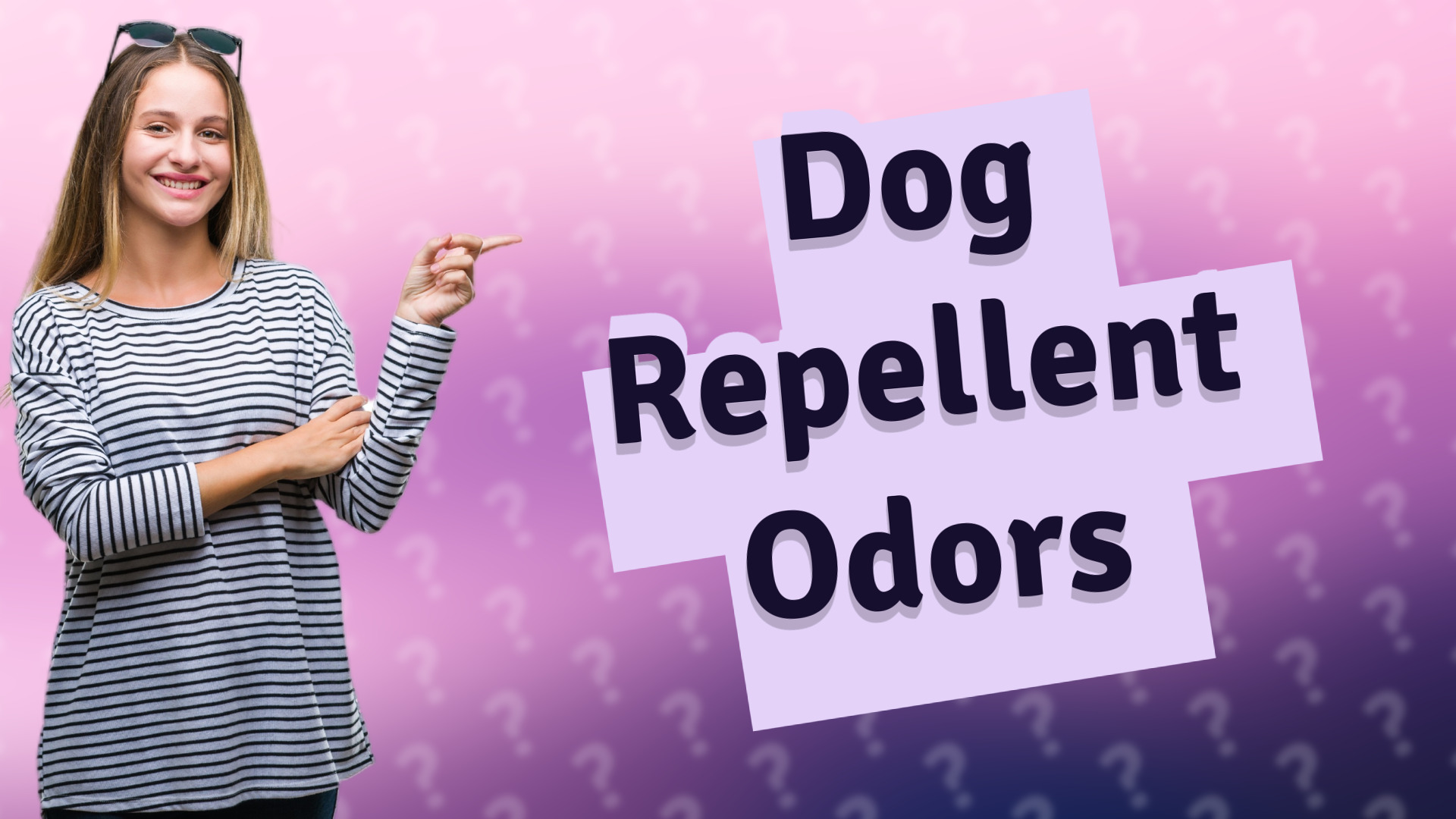 Dog Repellent Odors