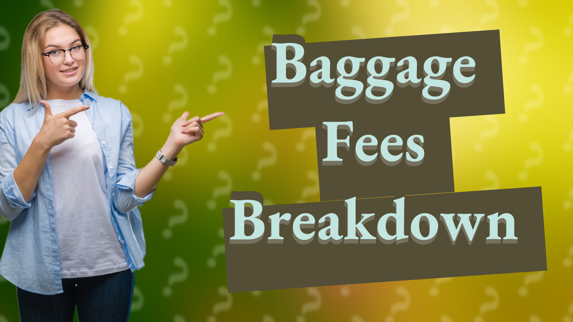 Baggage Fees Breakdown