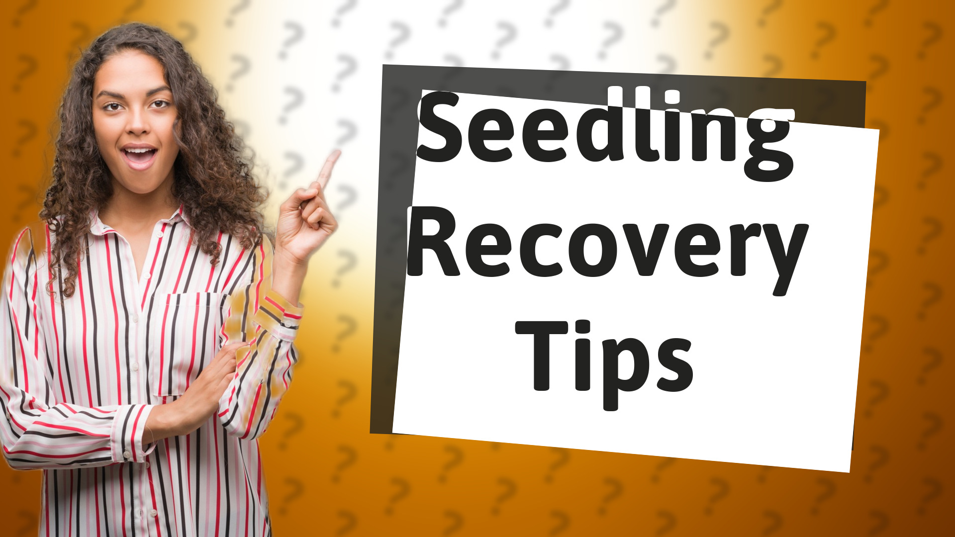 Seedling Recovery Tips
