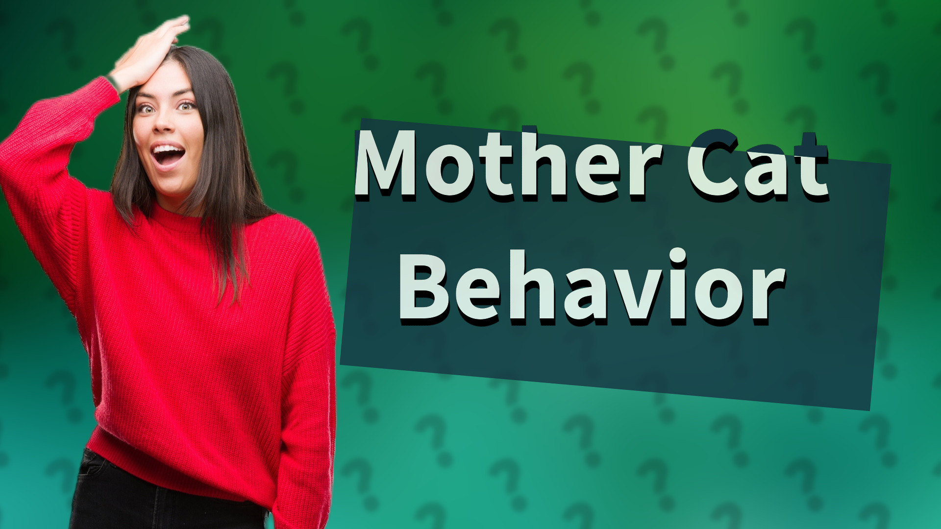Mother Cat Behavior
