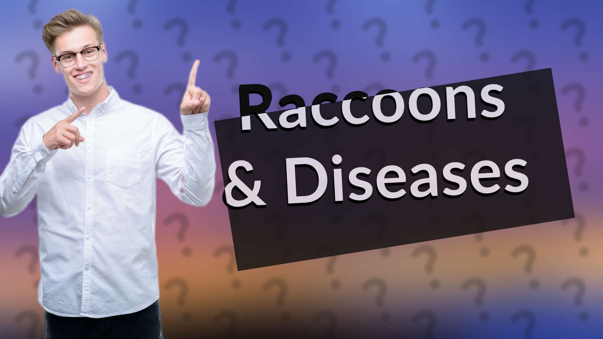 Raccoons & Diseases