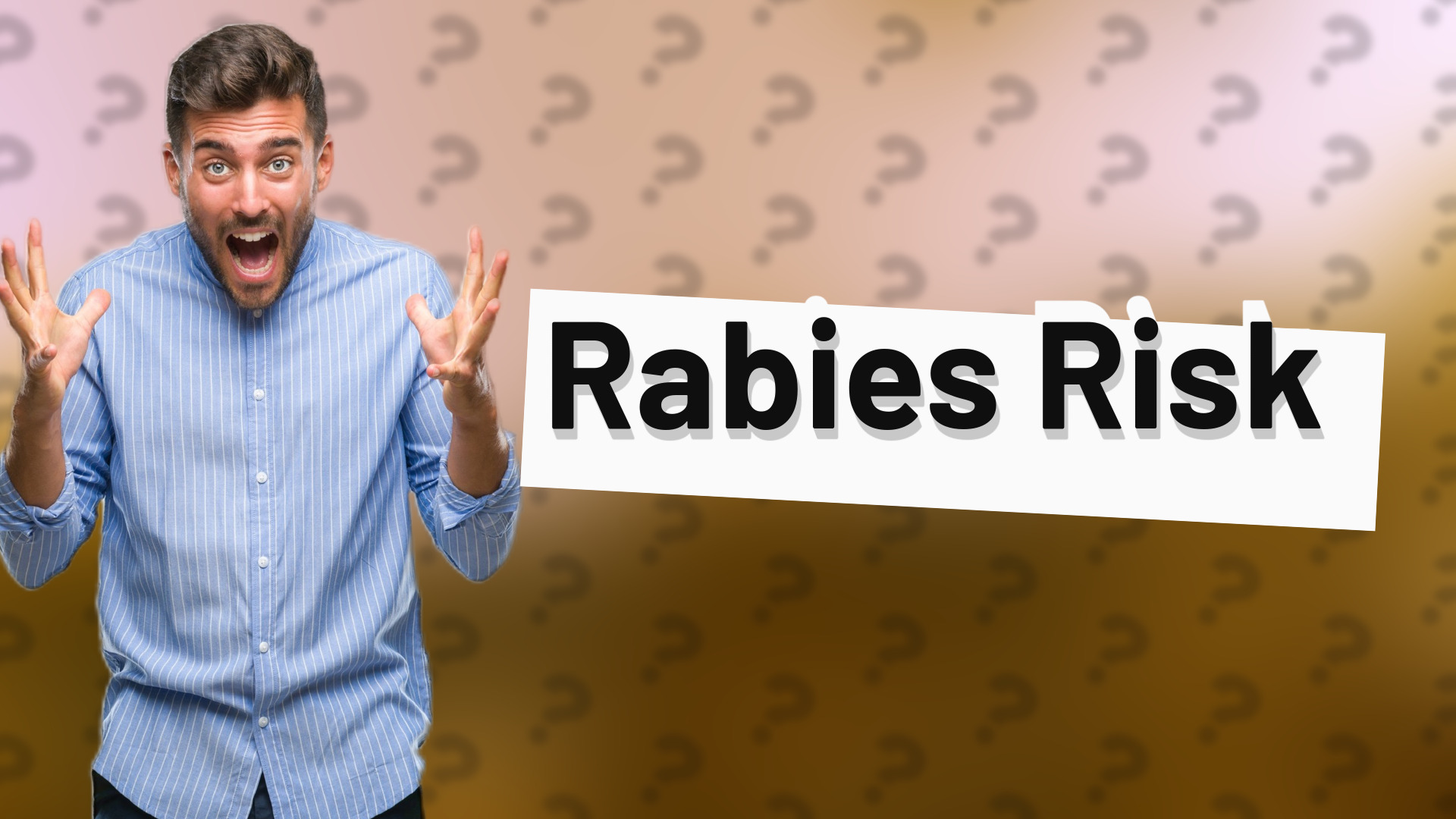 Rabies Risk