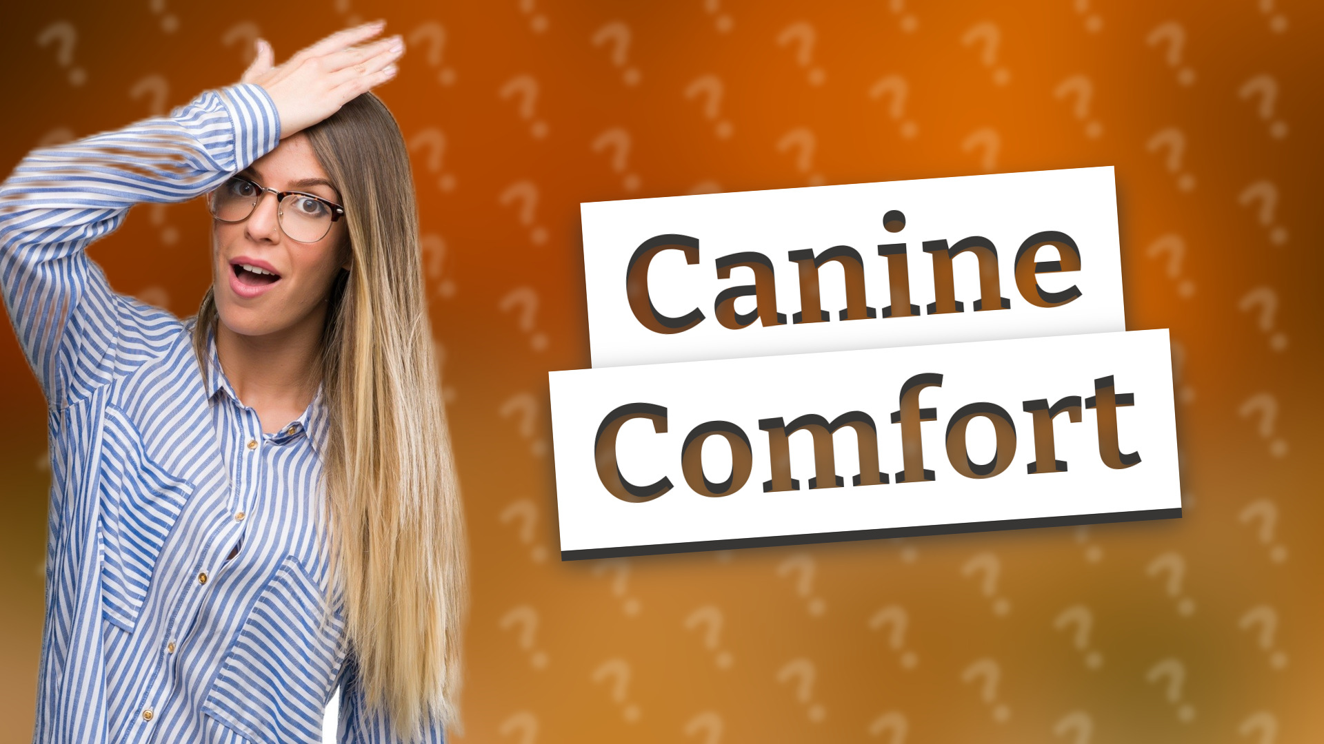 Canine Comfort