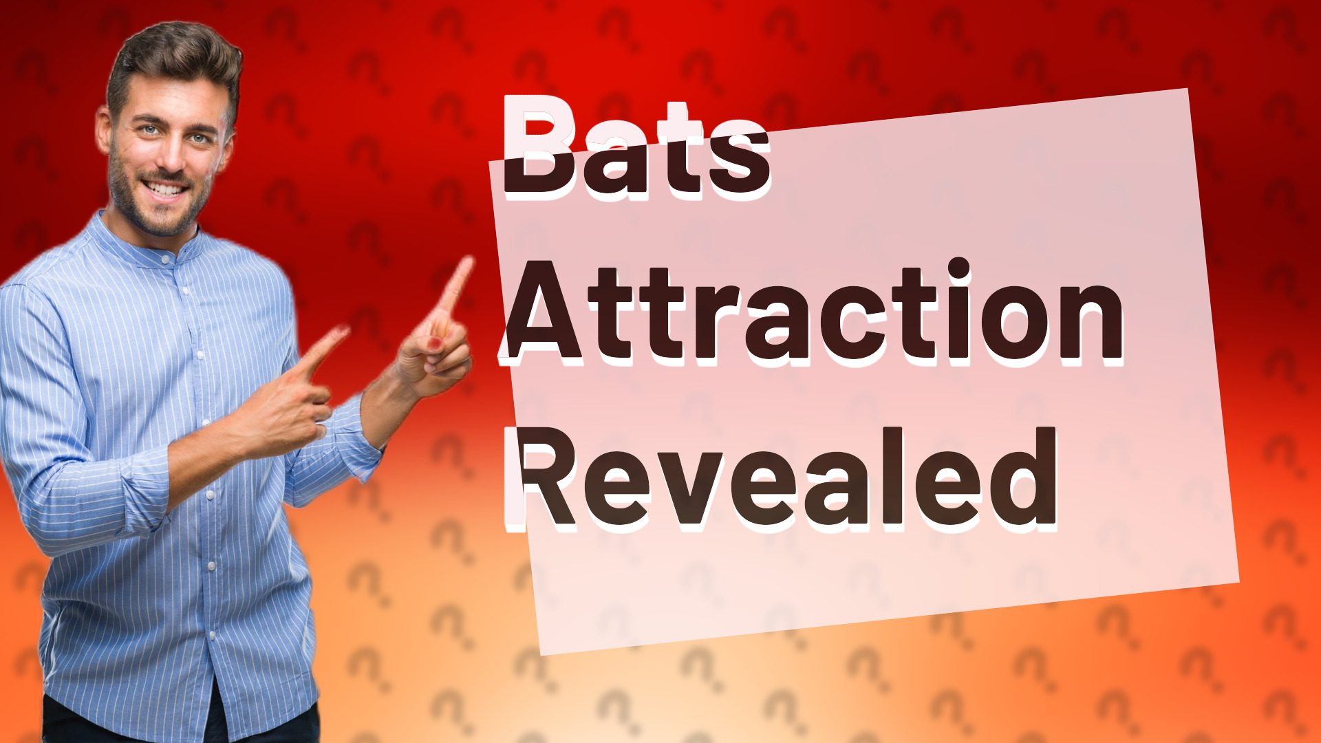 Bats Attraction Revealed