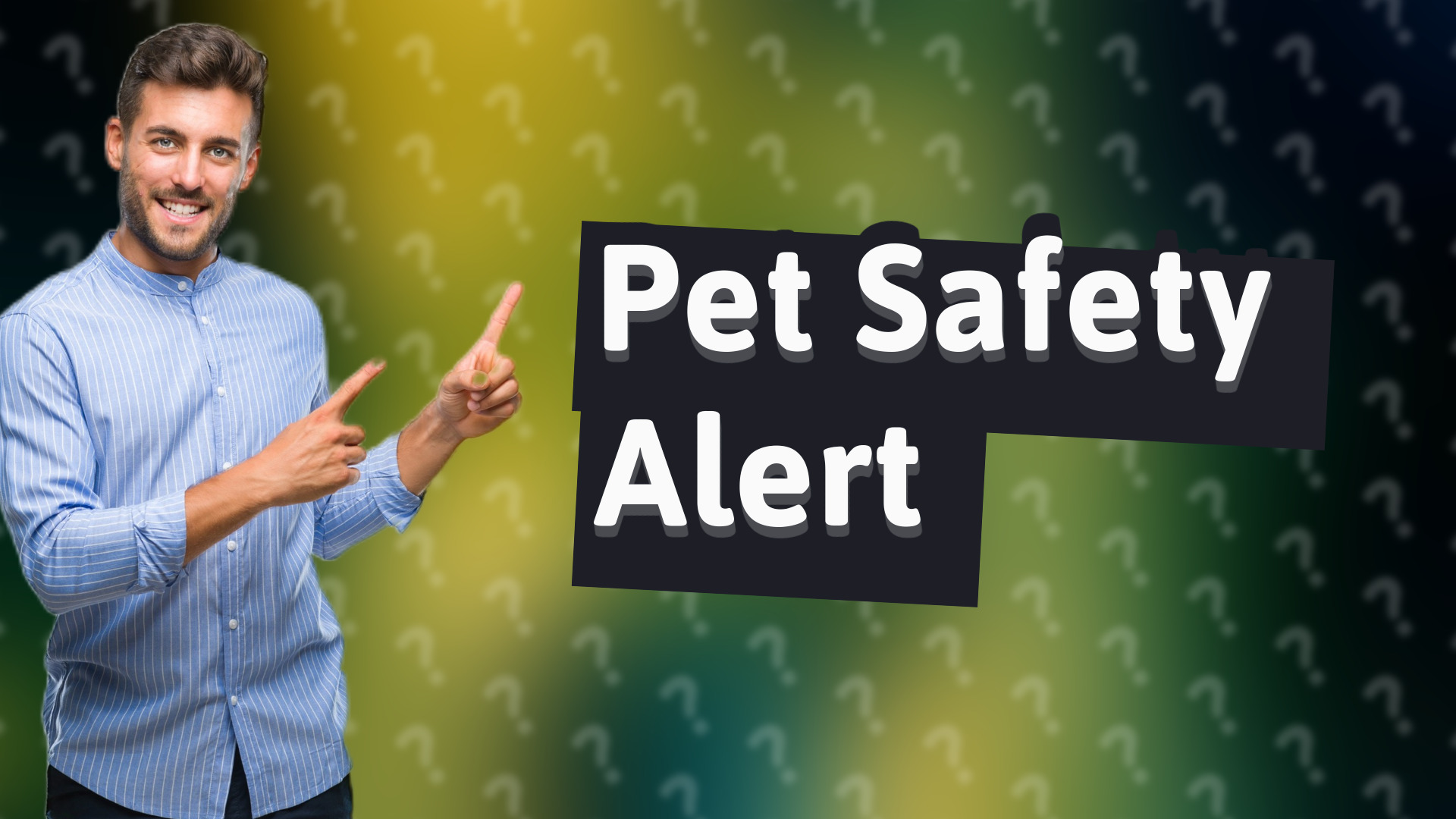 Pet Safety Alert