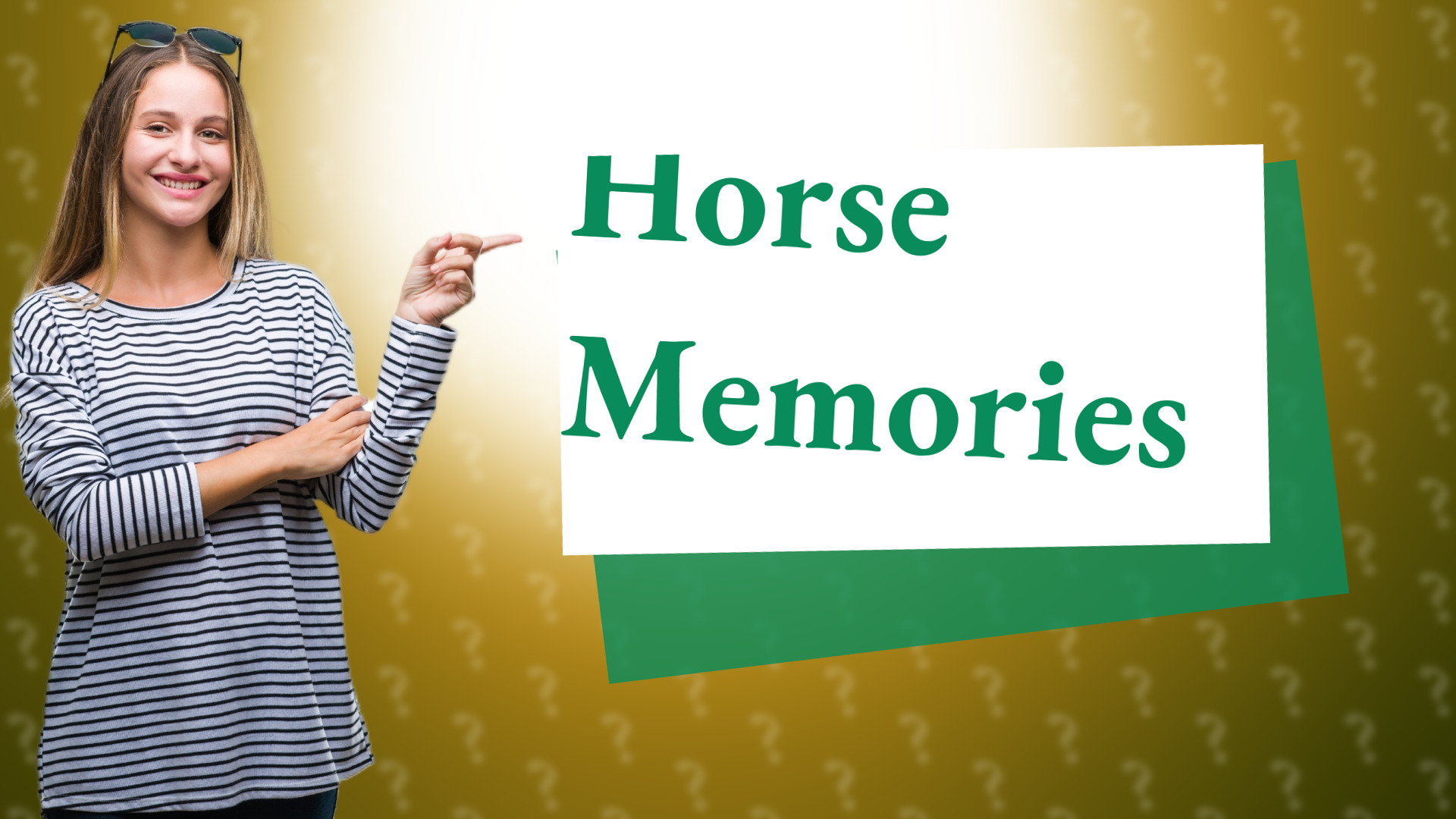 Horse Memories