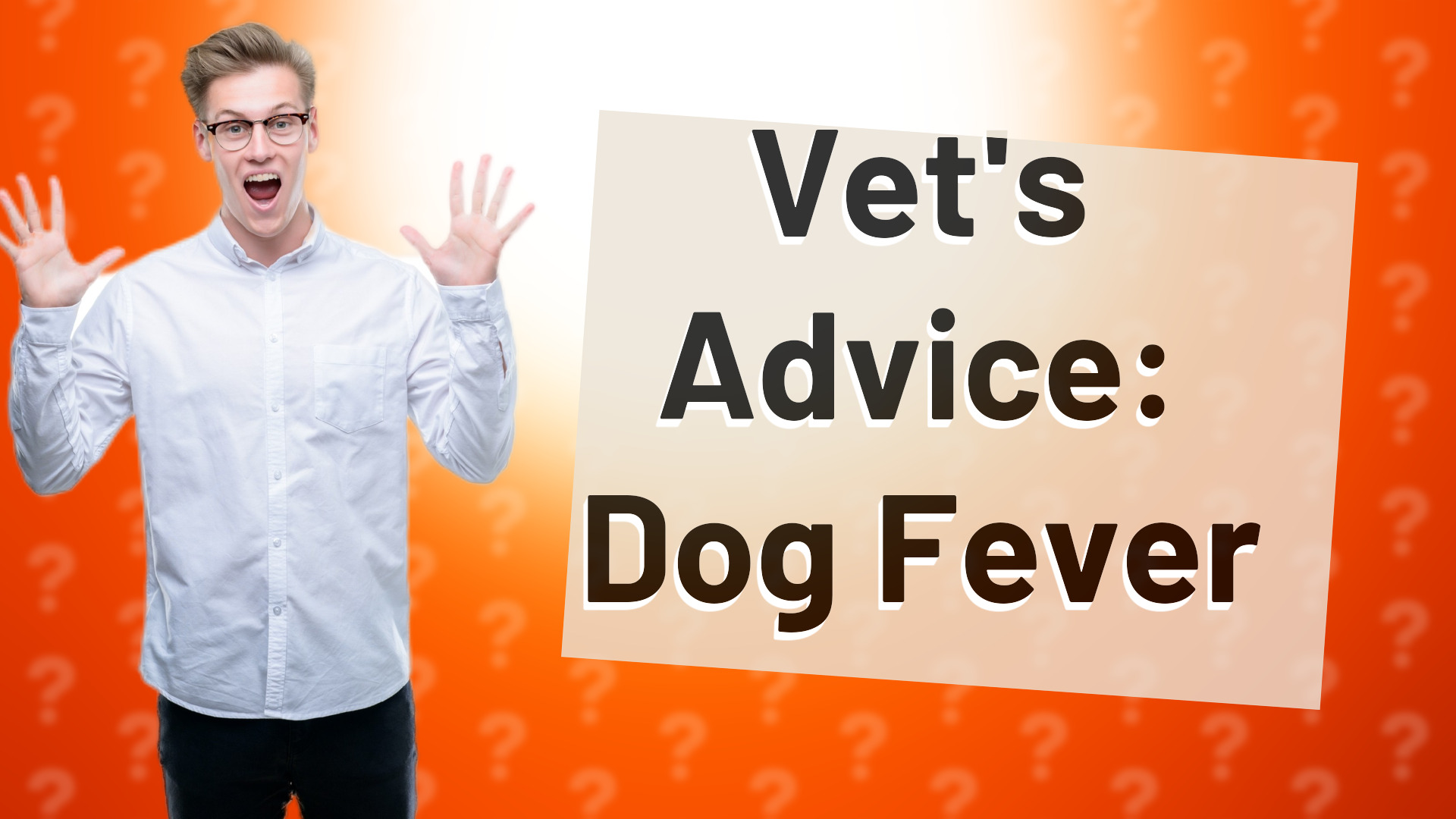 Vet's Advice: Dog Fever