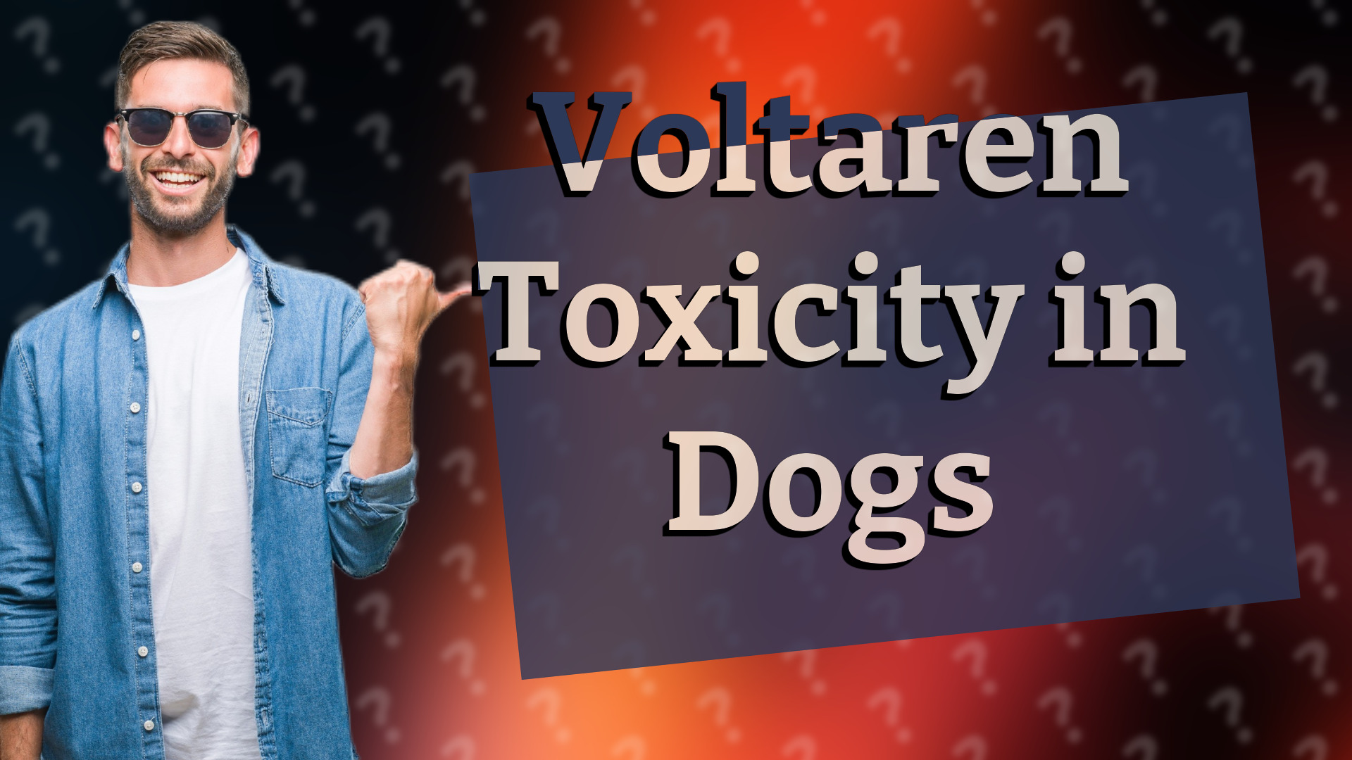 Voltaren Toxicity in Dogs