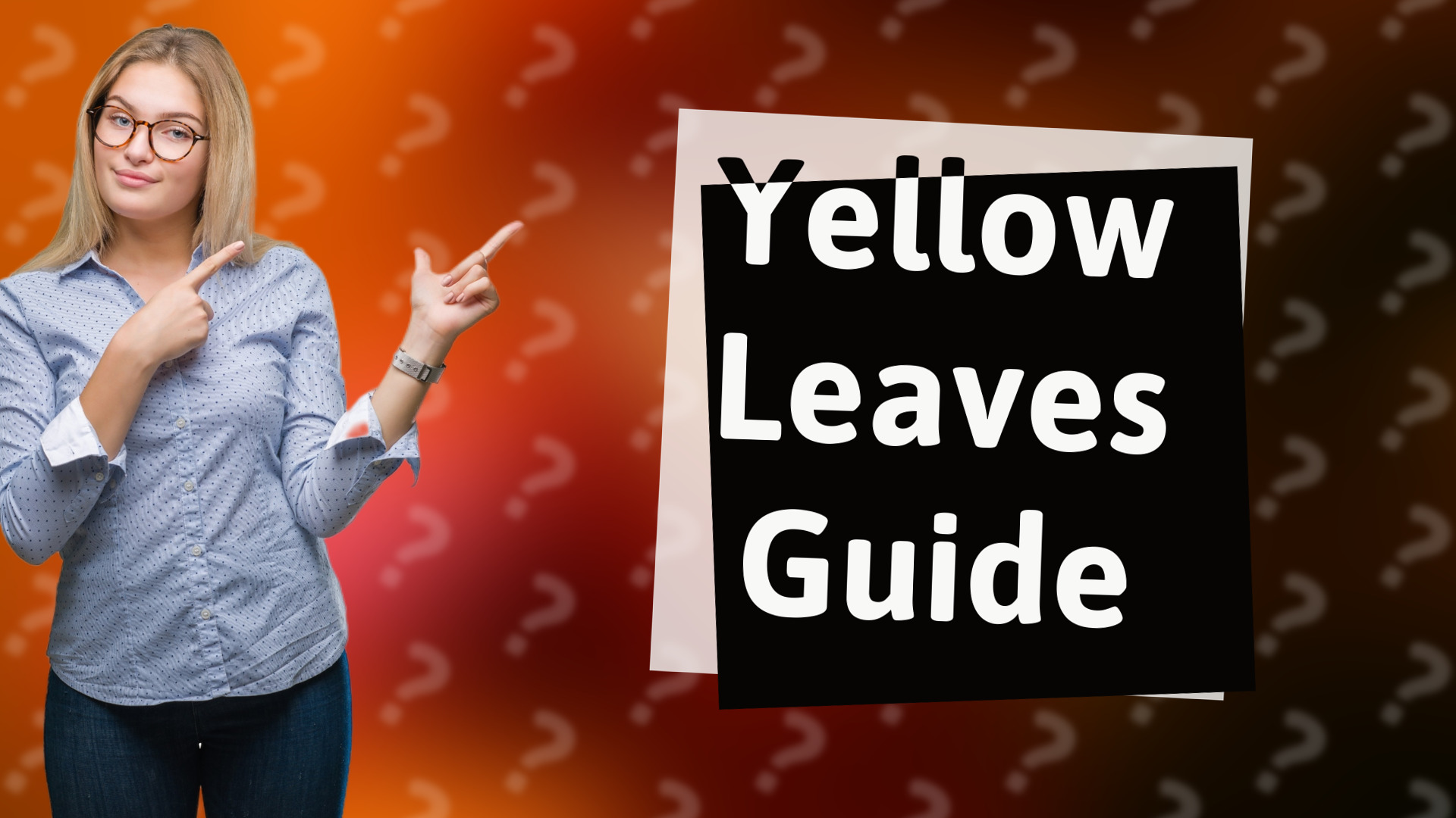 Yellow Leaves Guide