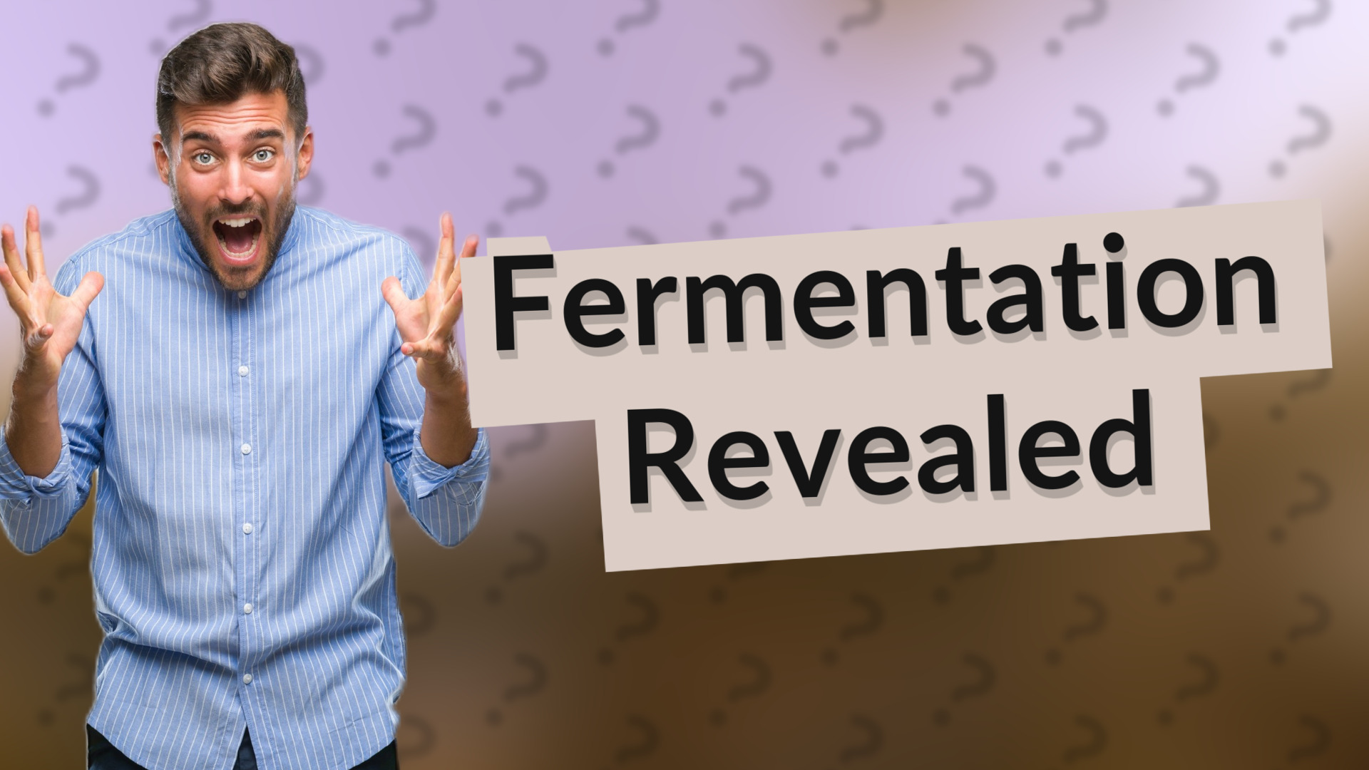 Fermentation Revealed