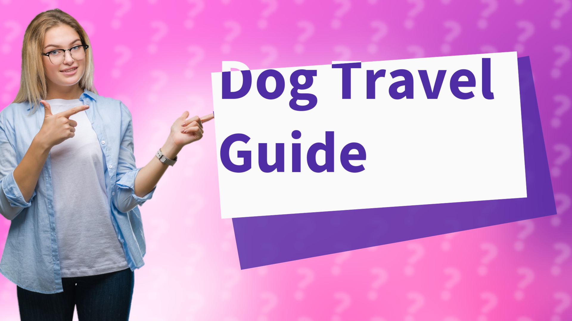 Dog Travel Guide