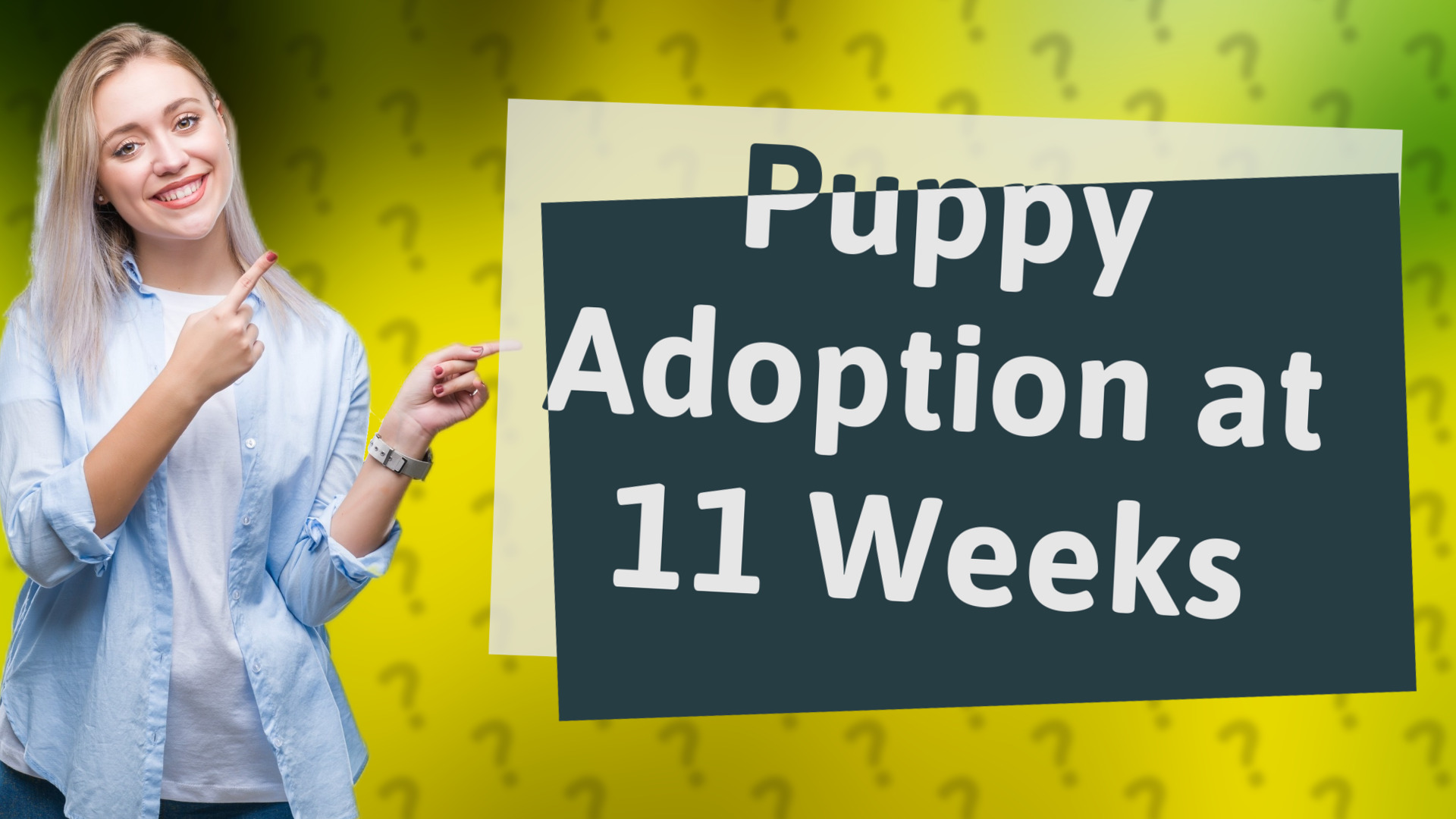 Puppy Adoption at 11 Weeks